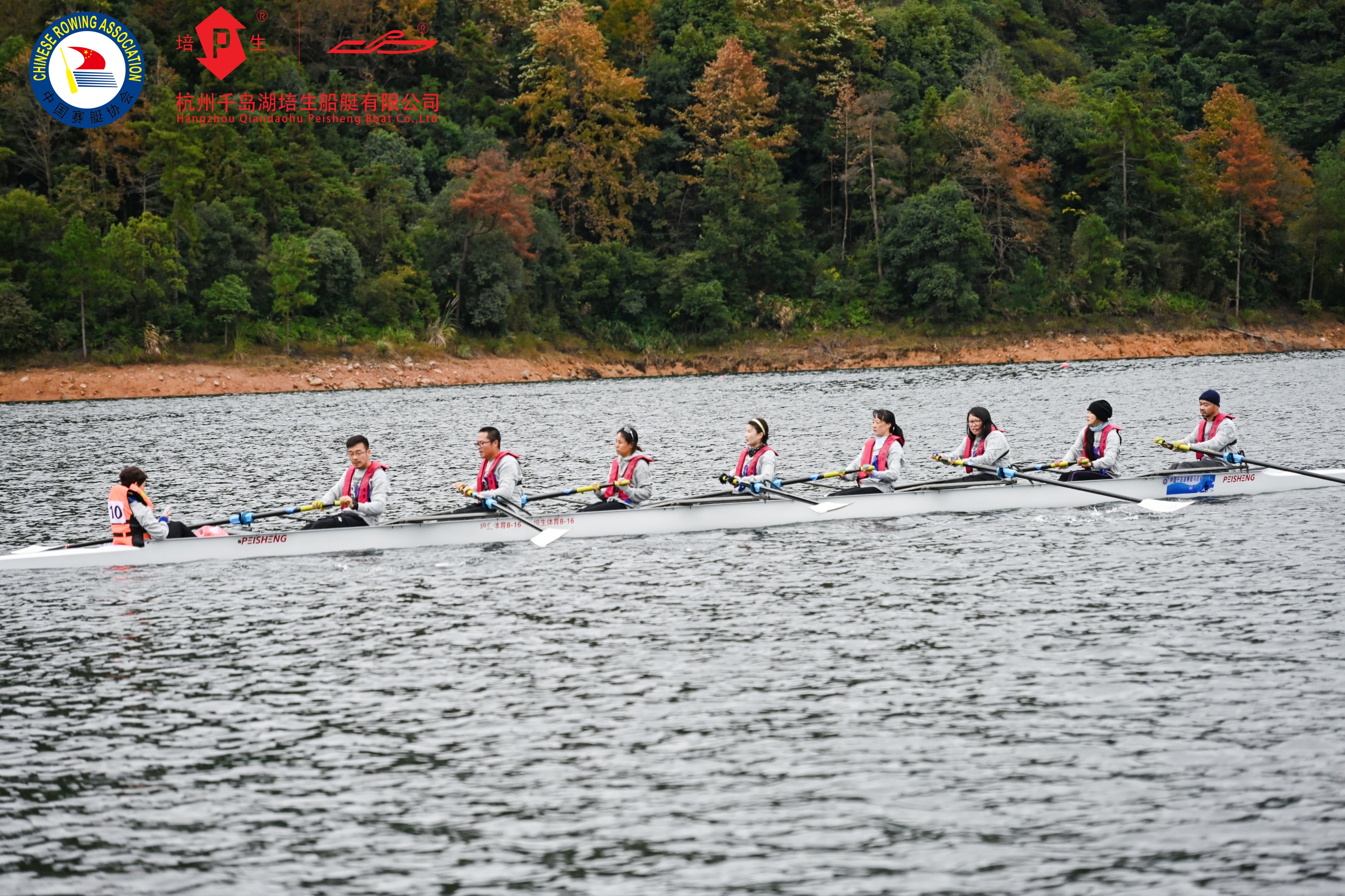 请登录查看高清图