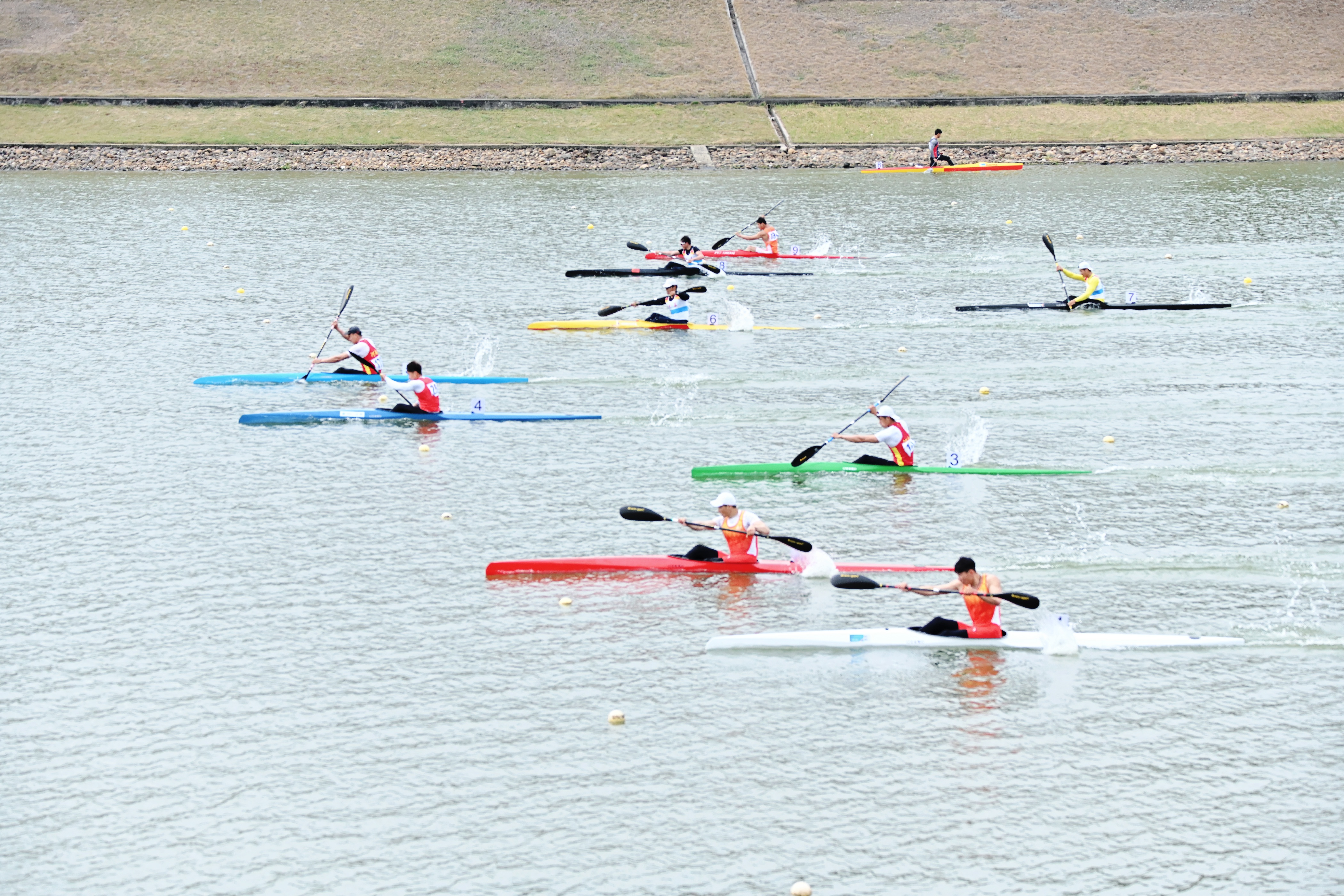 请登录查看高清图