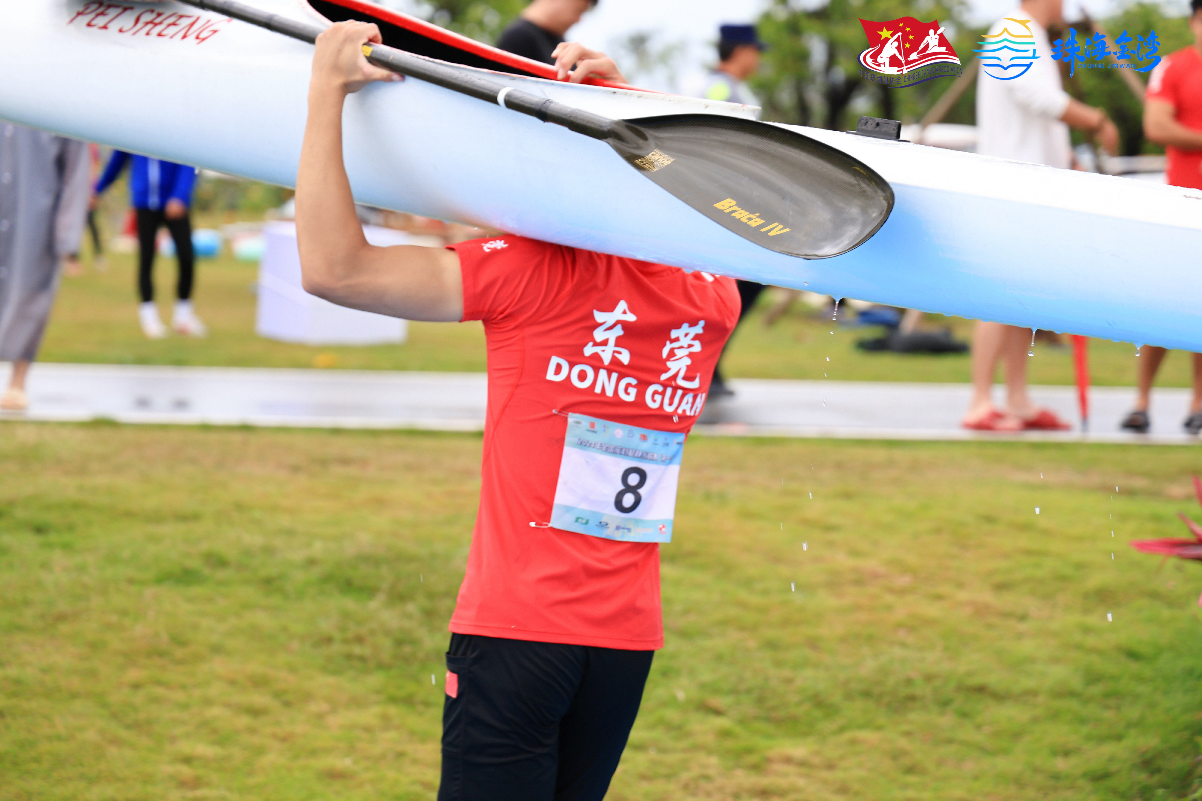 请登录查看高清图