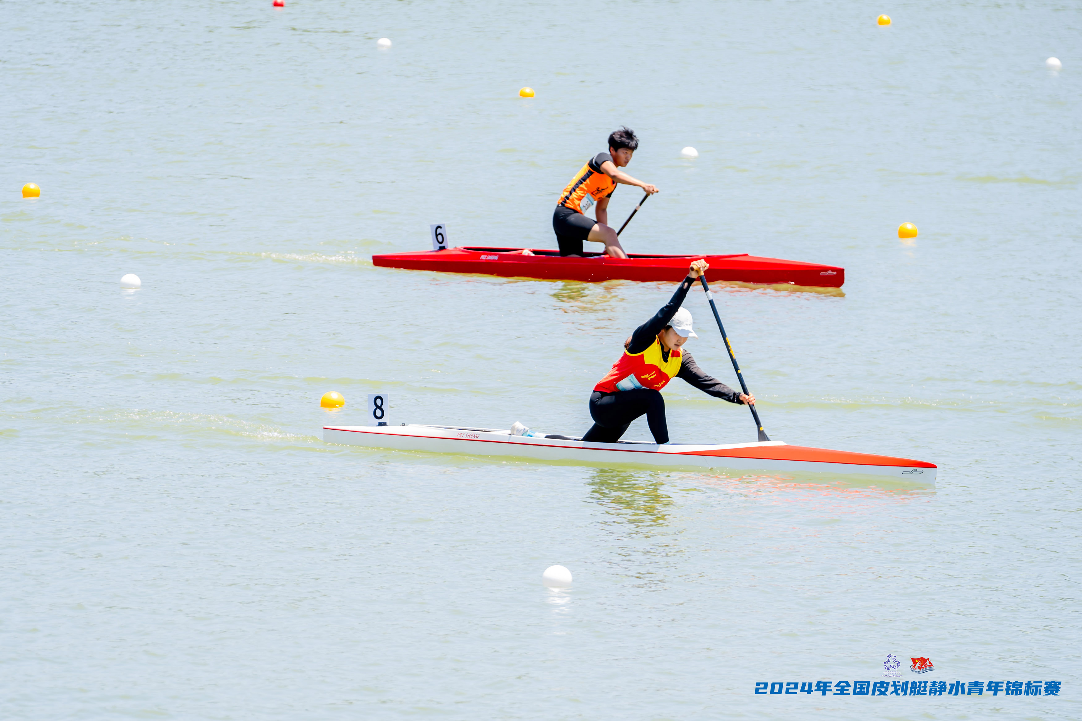 请登录查看高清图