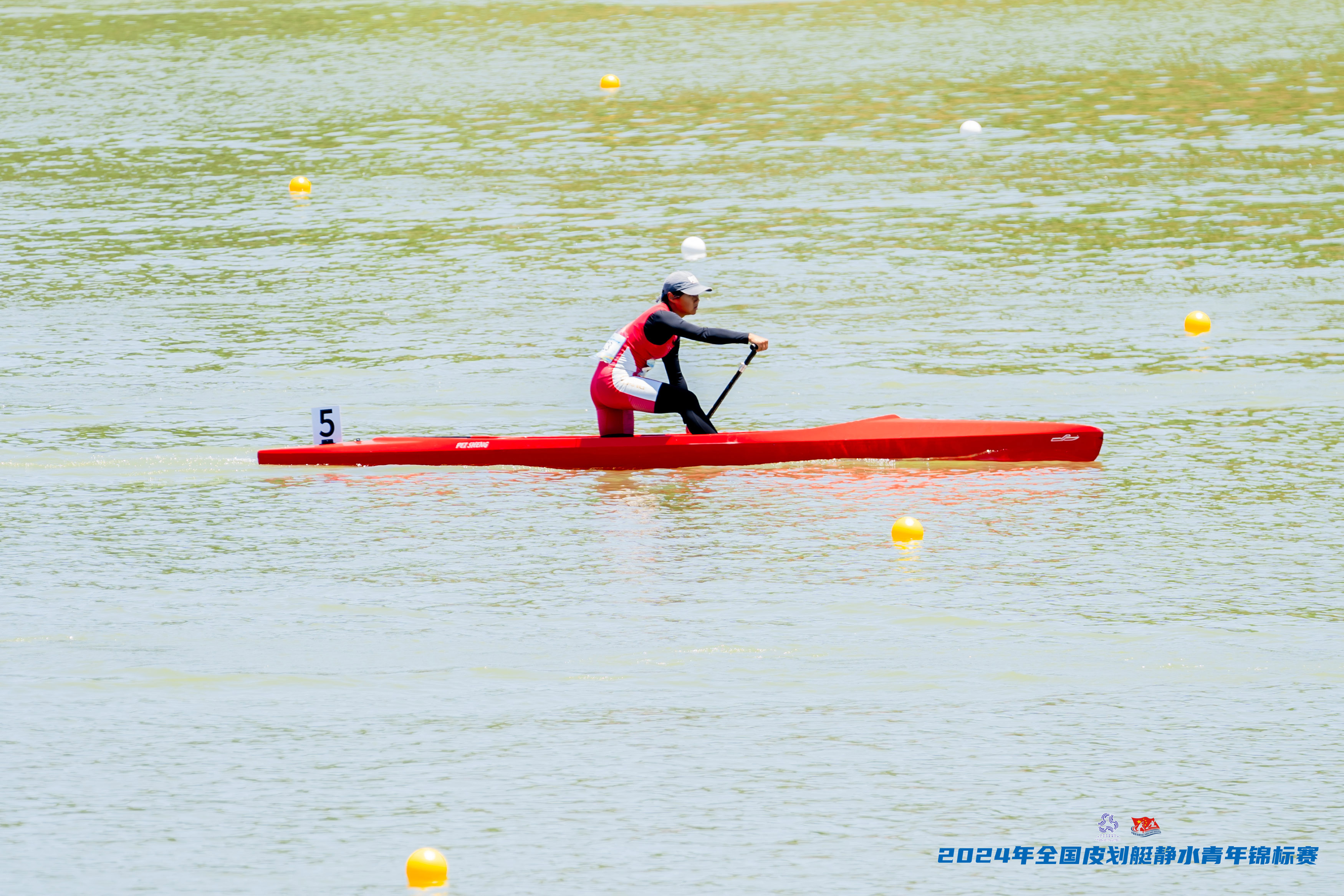 请登录查看高清图