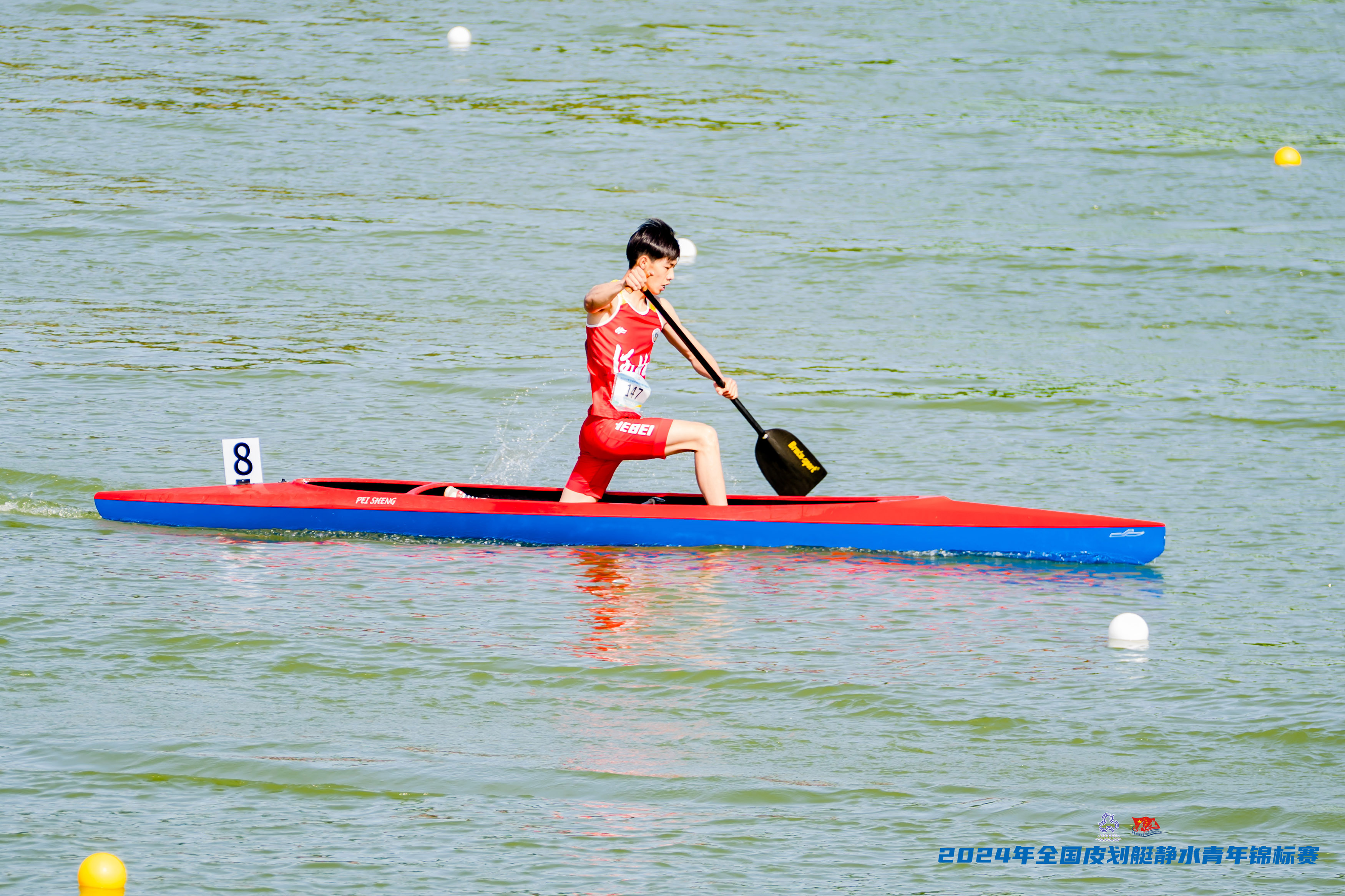 请登录查看高清图