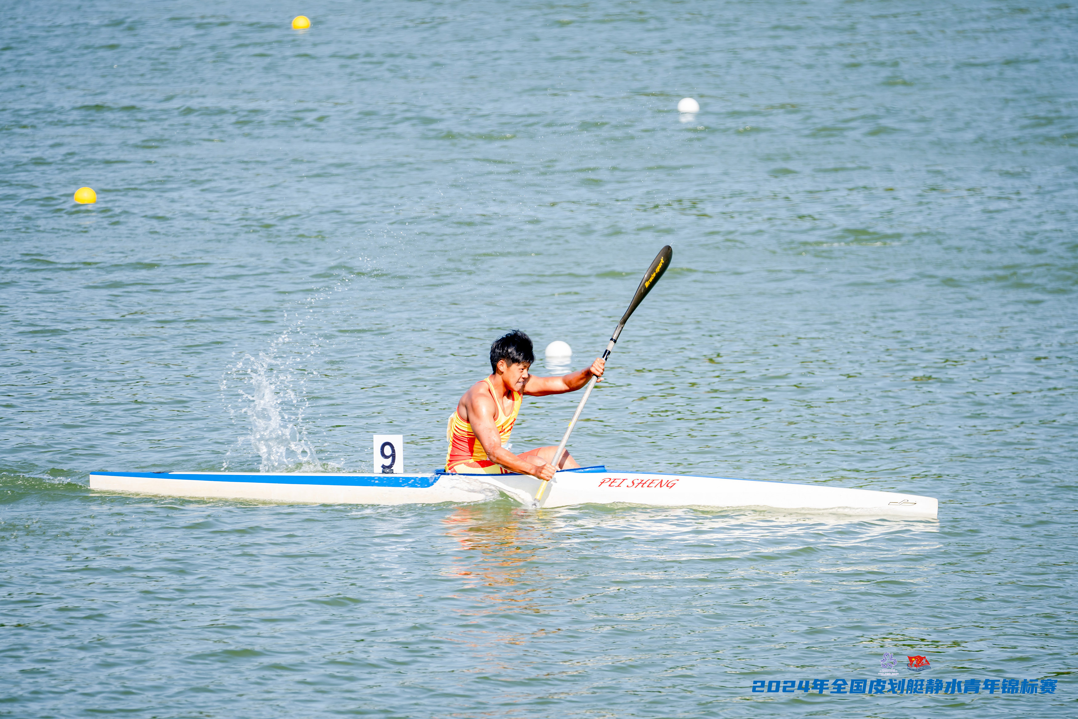 请登录查看高清图