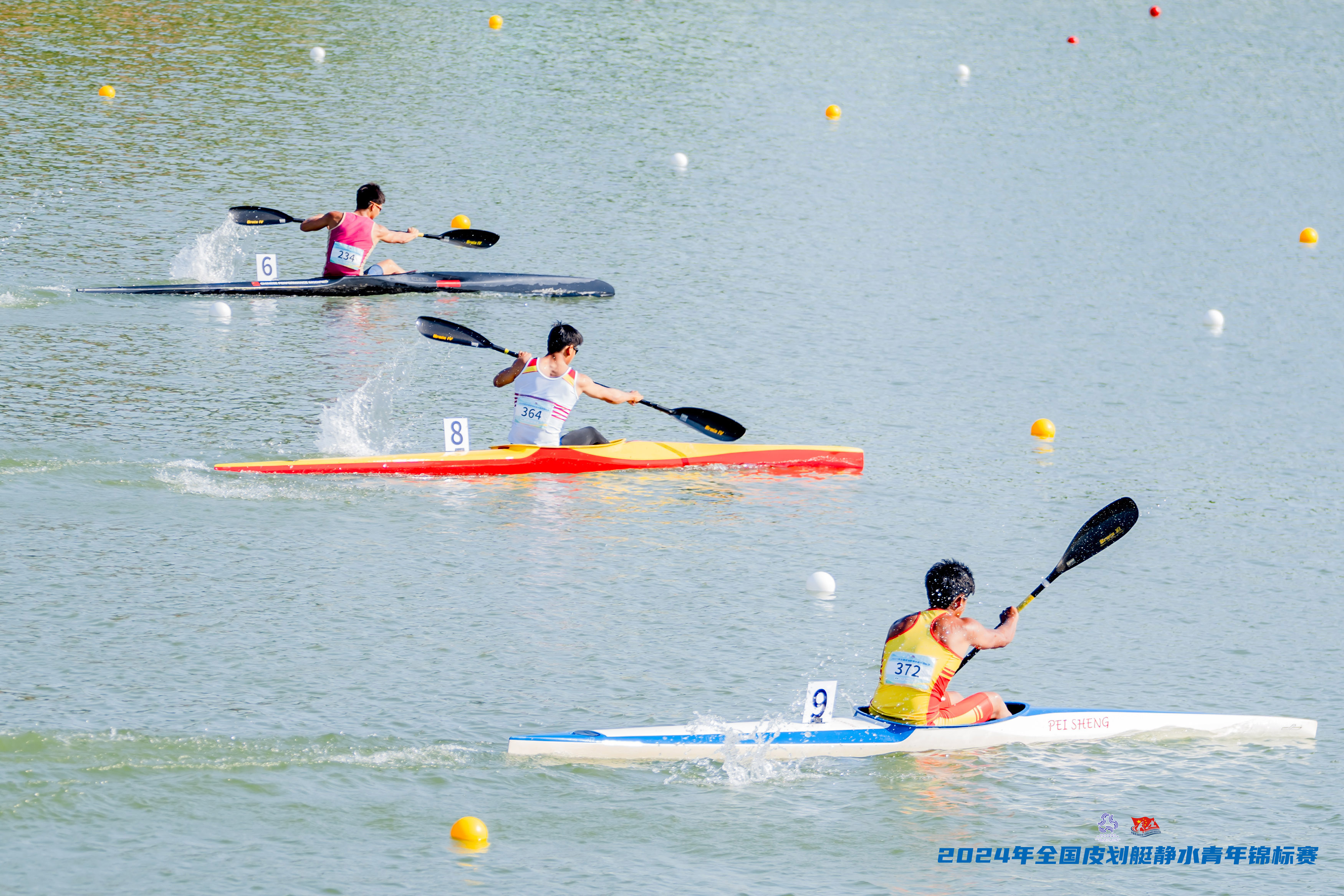 请登录查看高清图