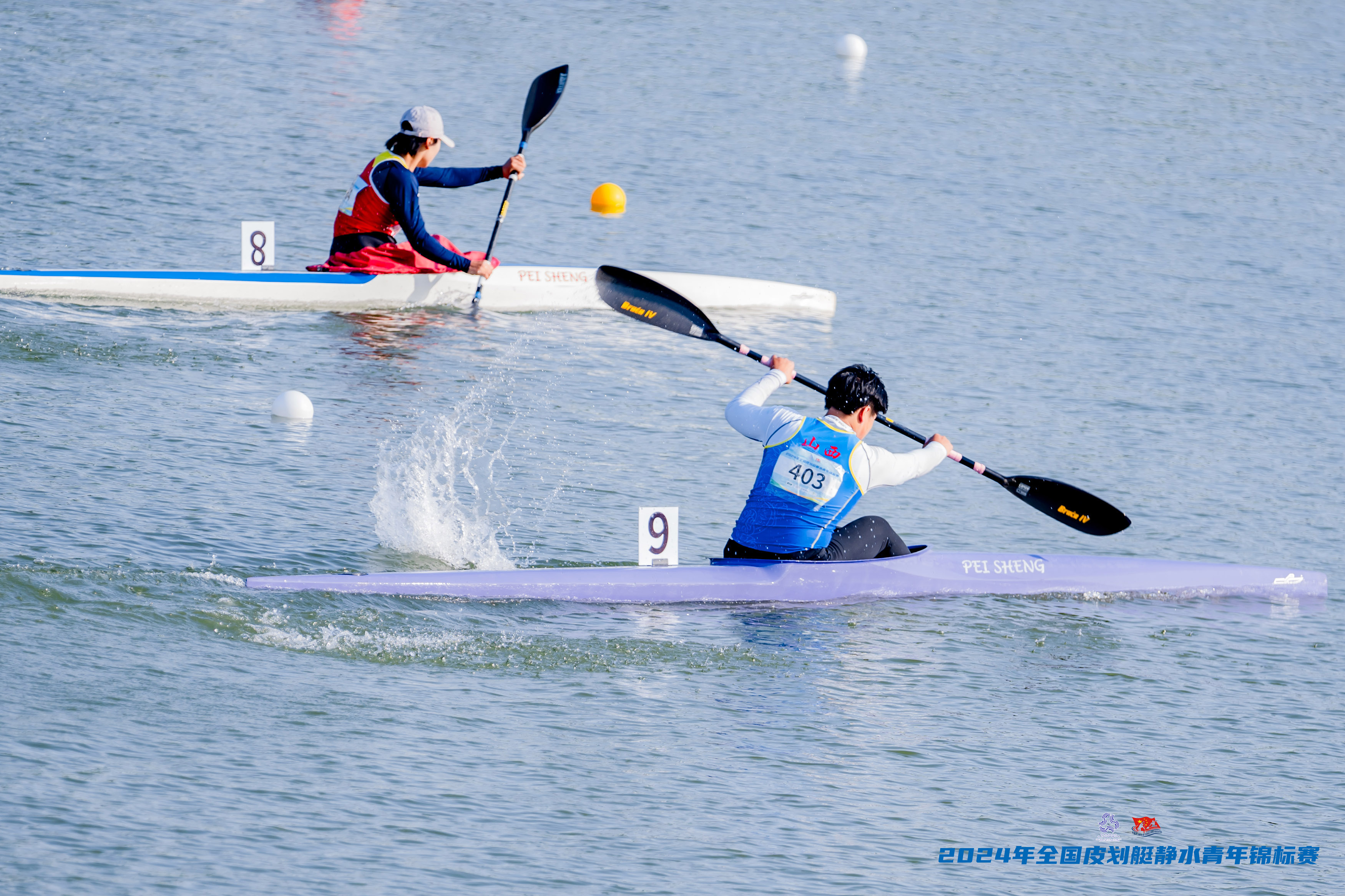 请登录查看高清图