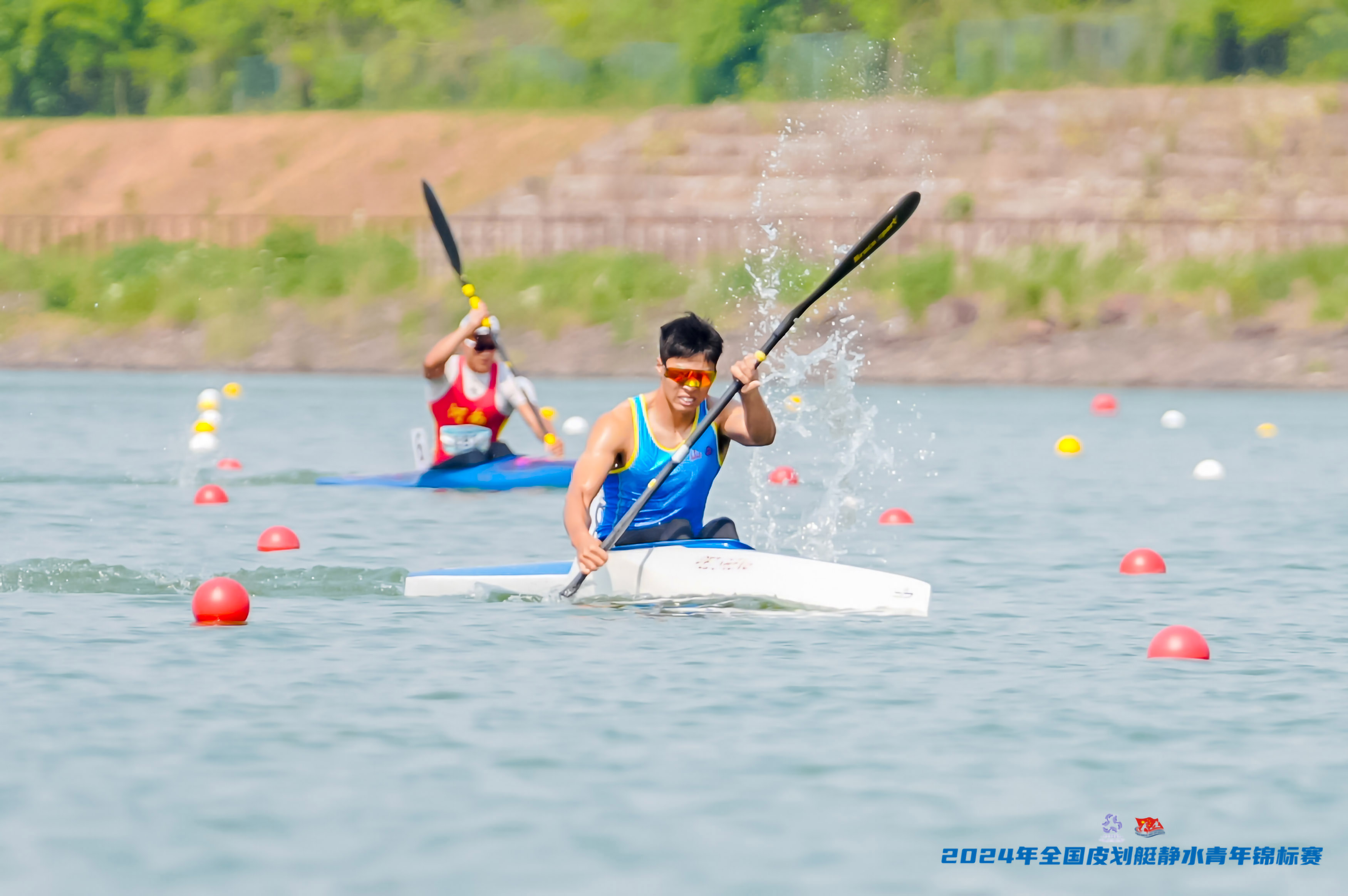 请登录查看高清图
