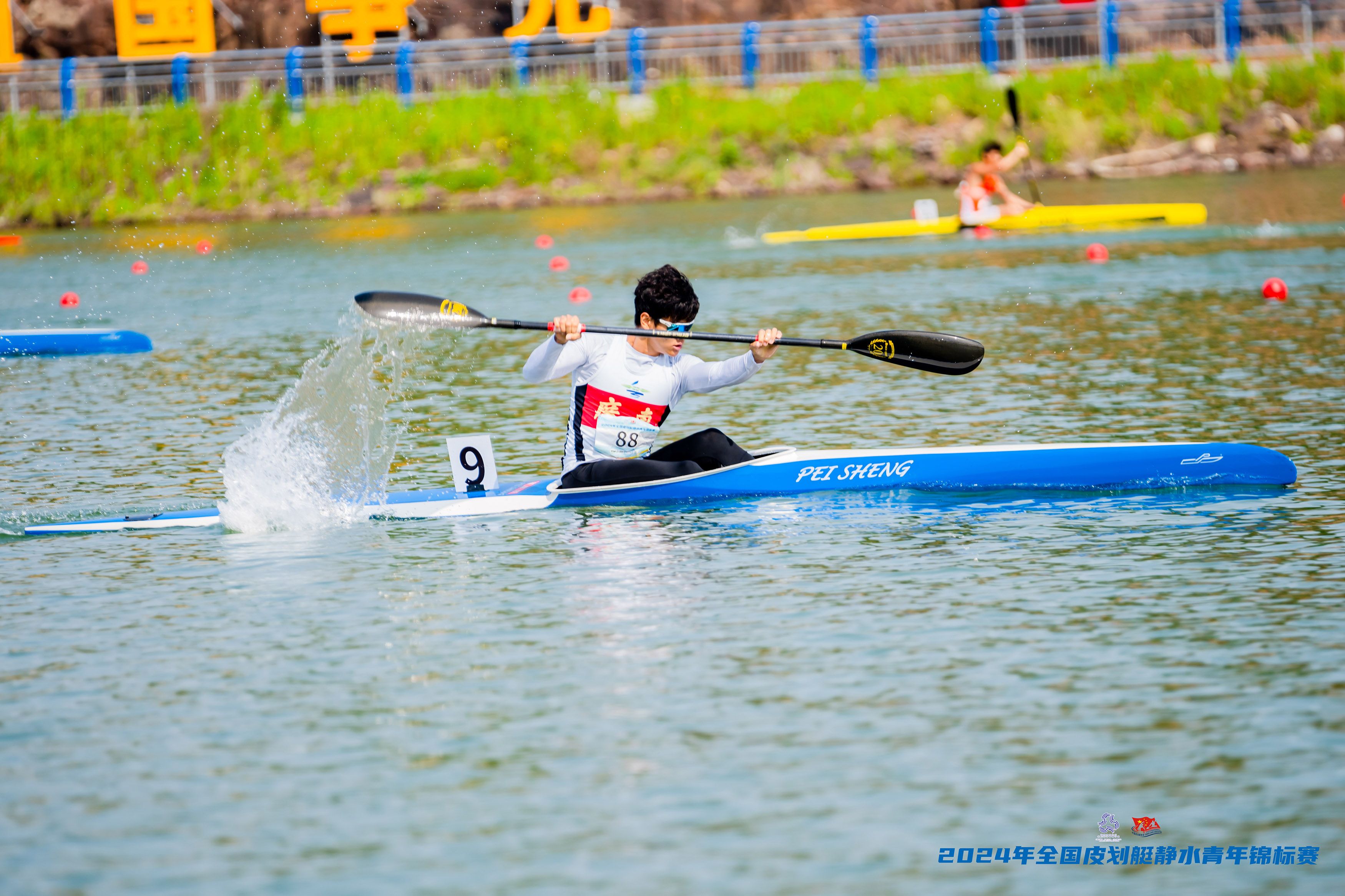 请登录查看高清图
