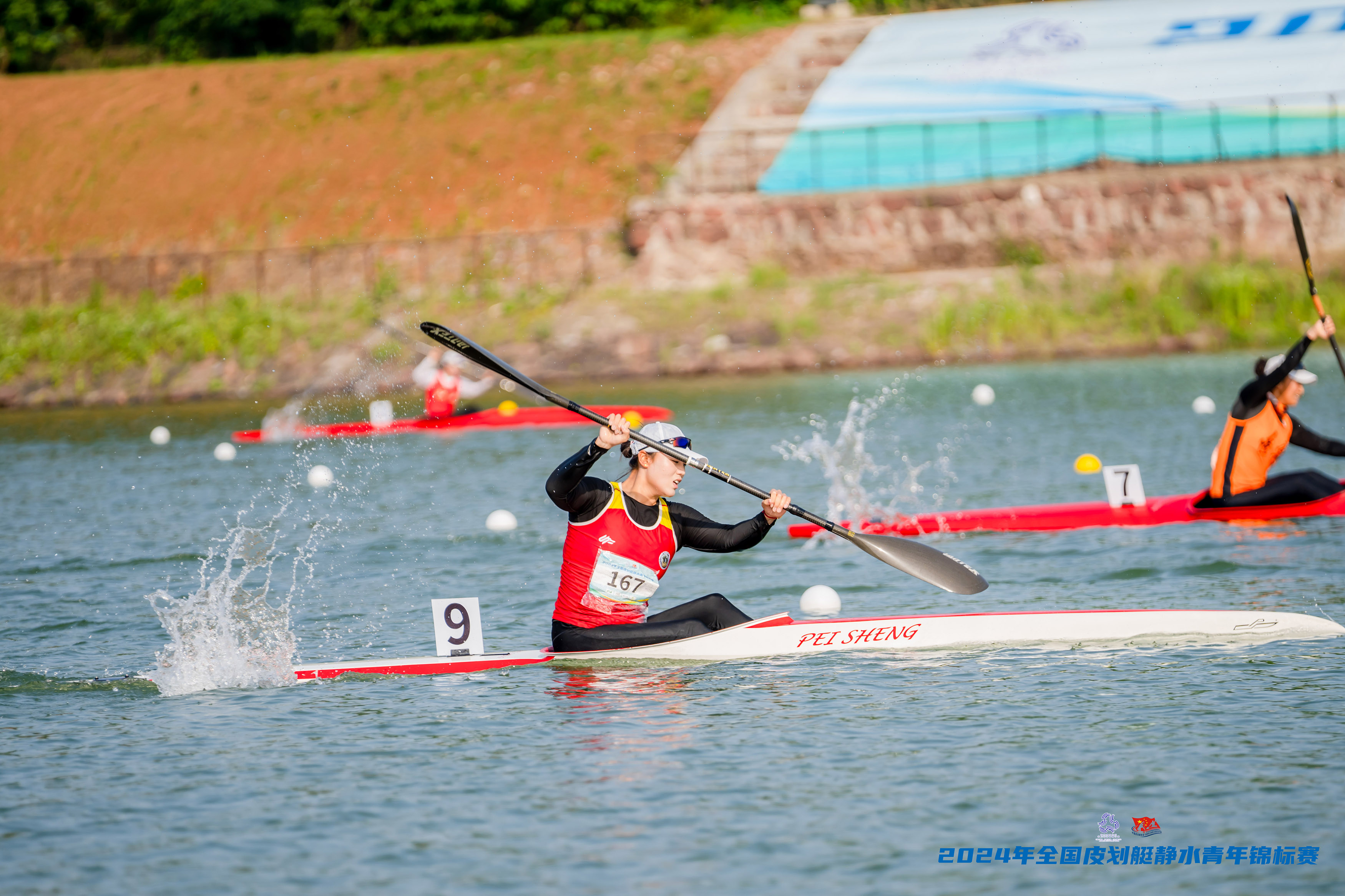 请登录查看高清图