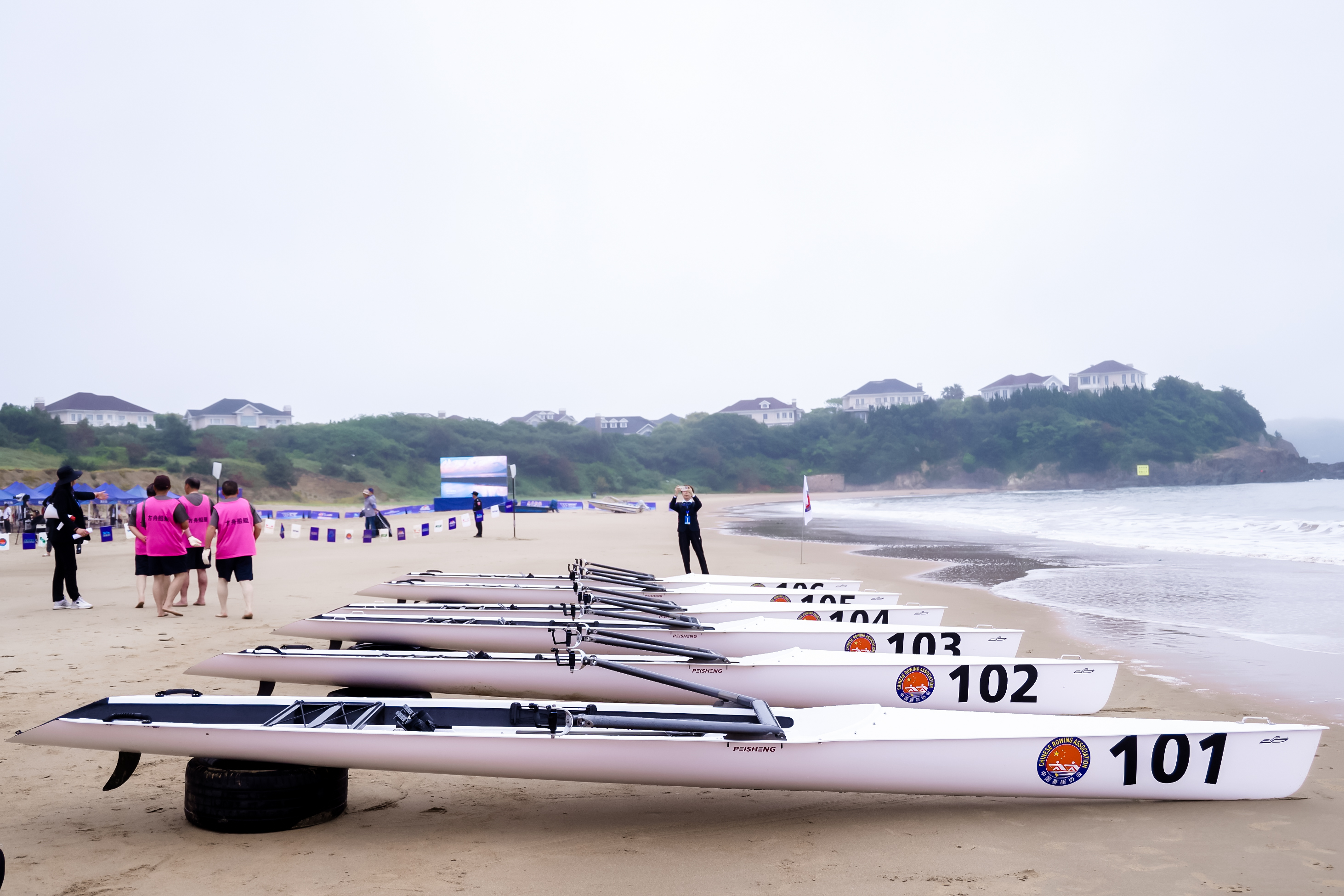 请登录查看高清图