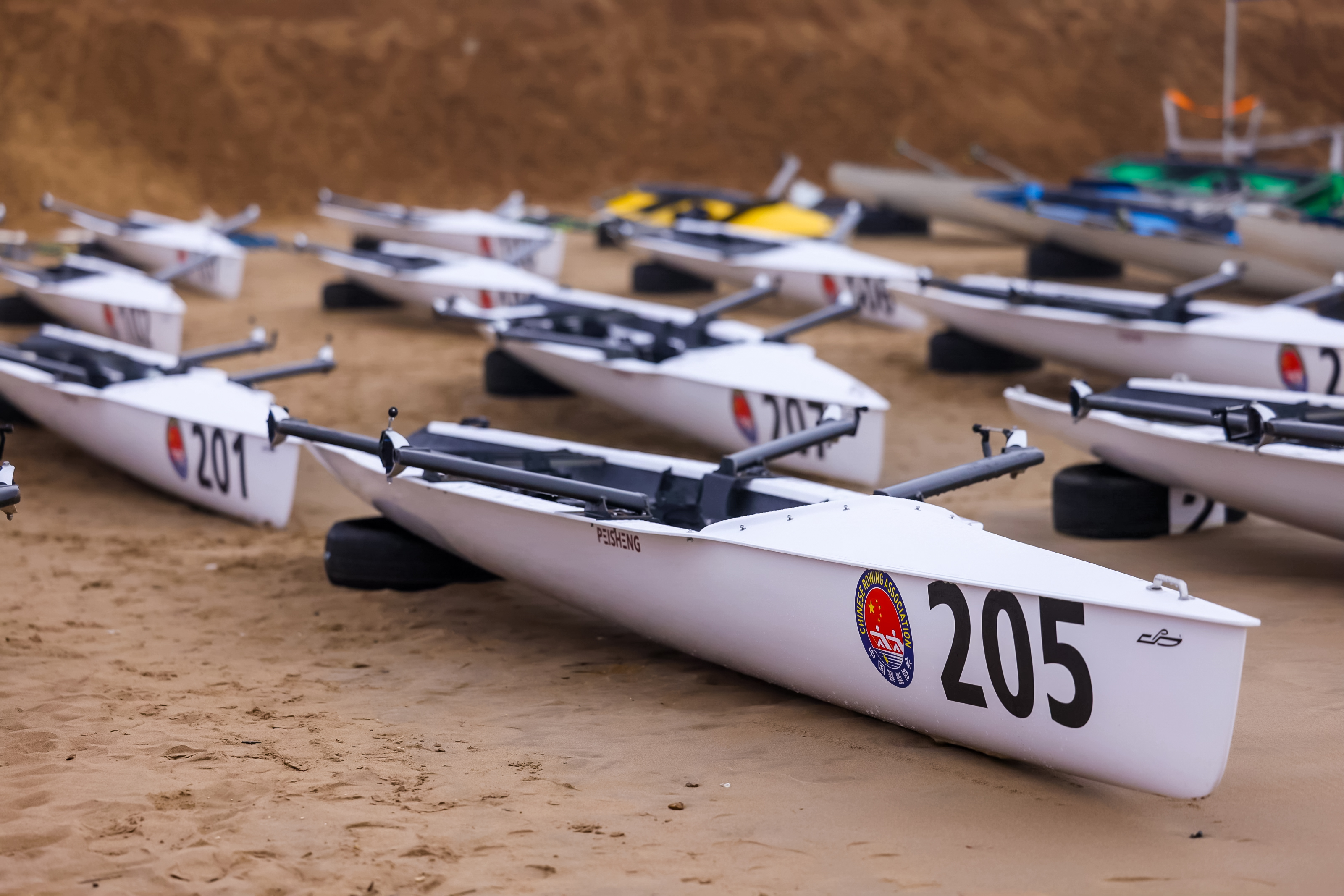 请登录查看高清图