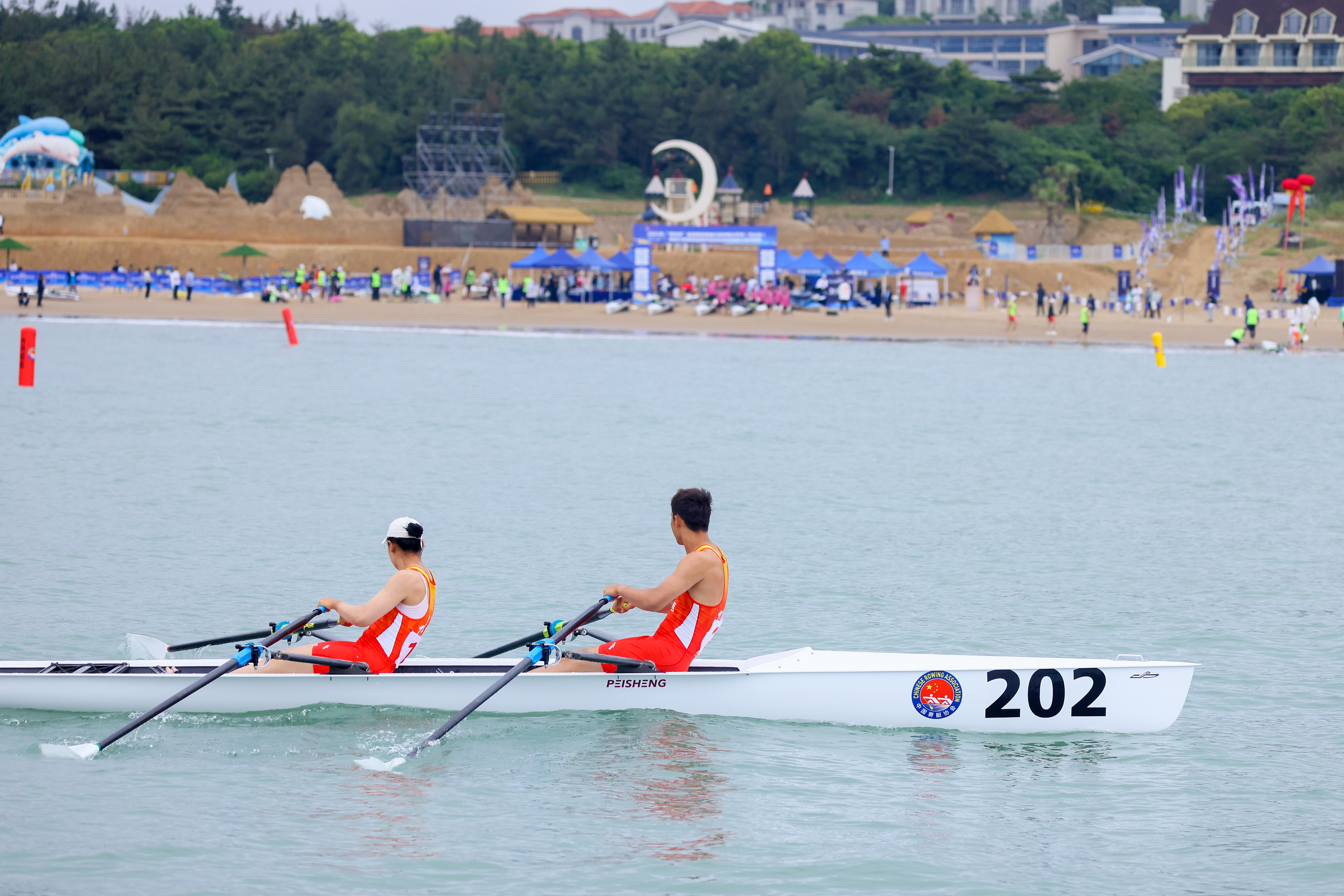 请登录查看高清图