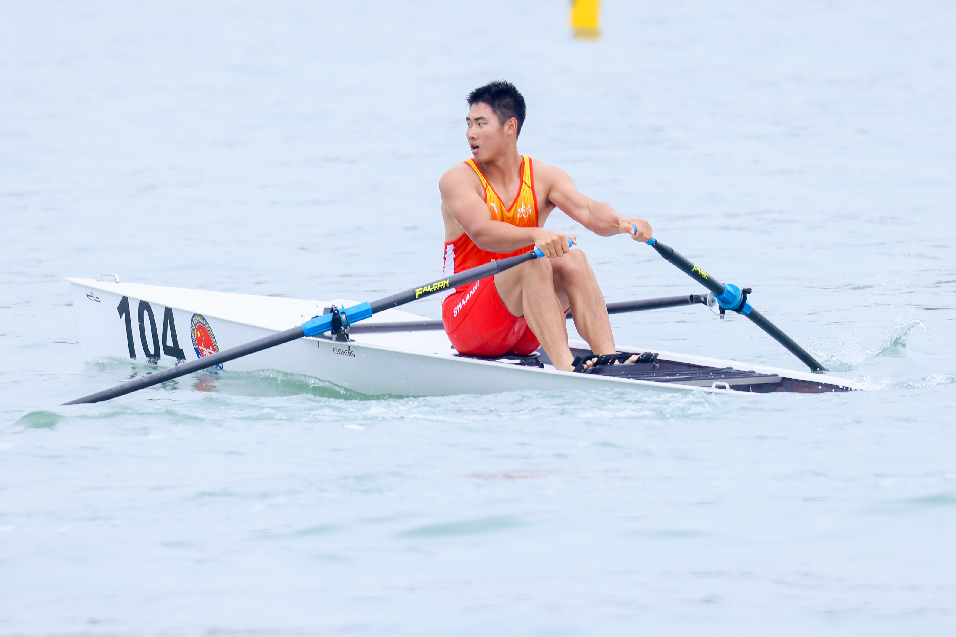 请登录查看高清图