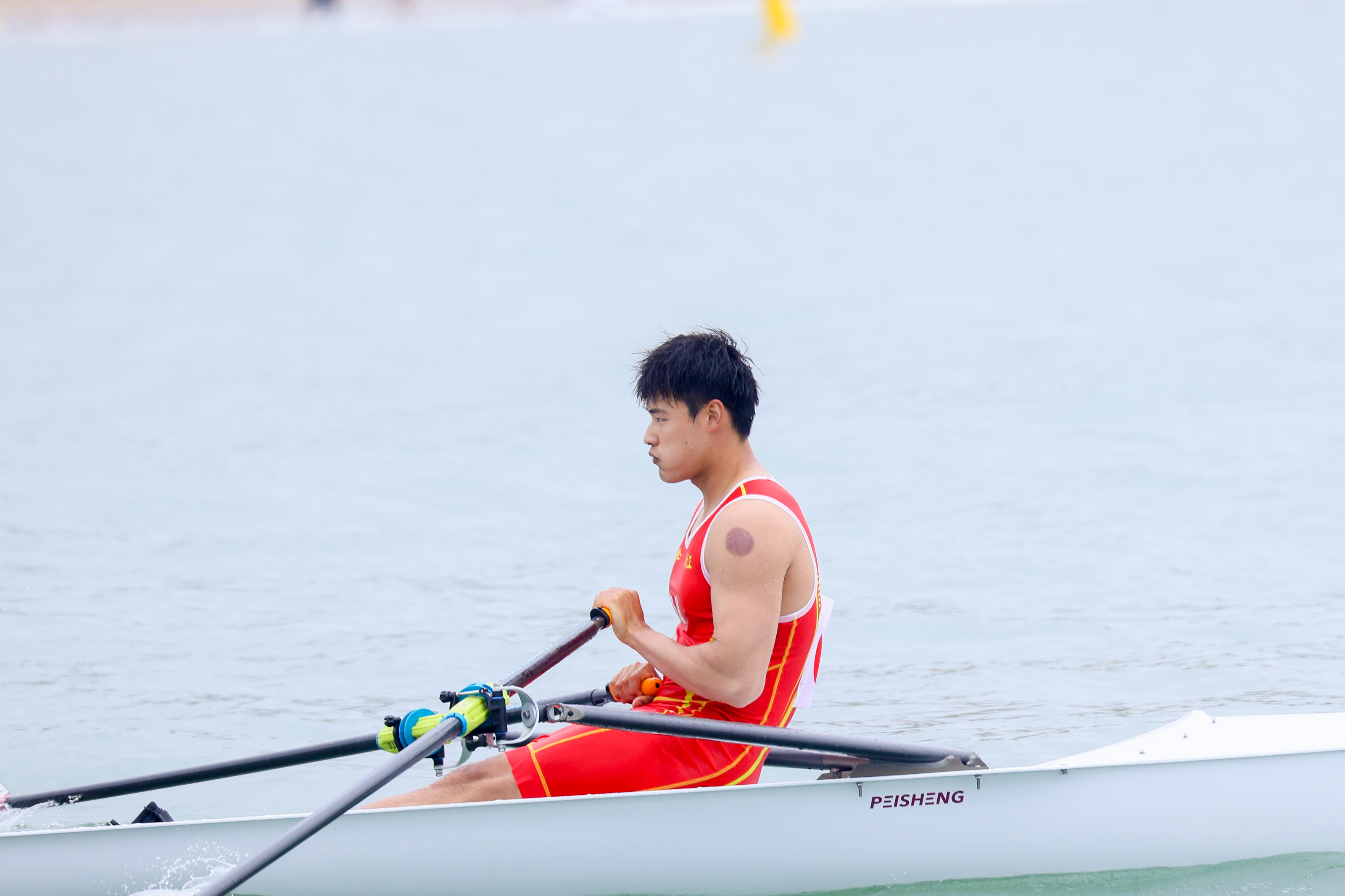 请登录查看高清图