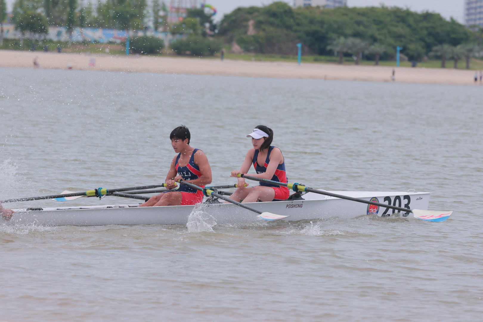 请登录查看高清图