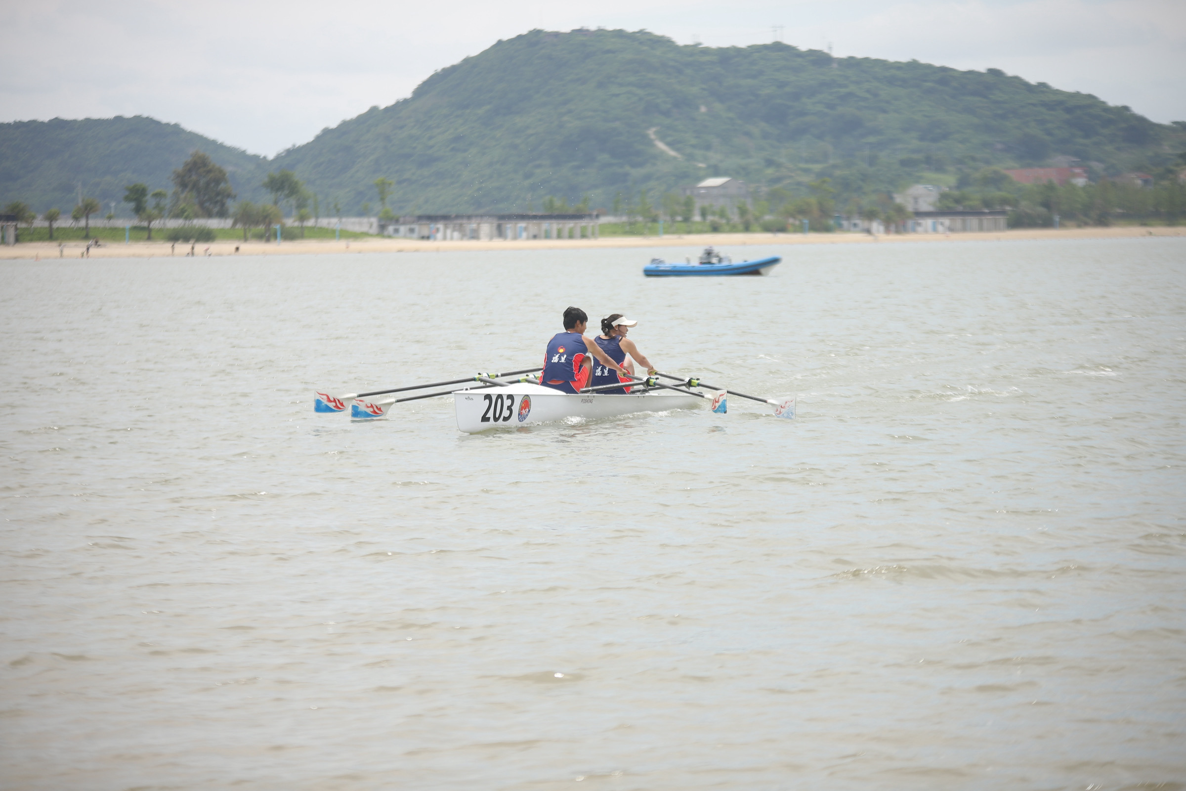 请登录查看高清图