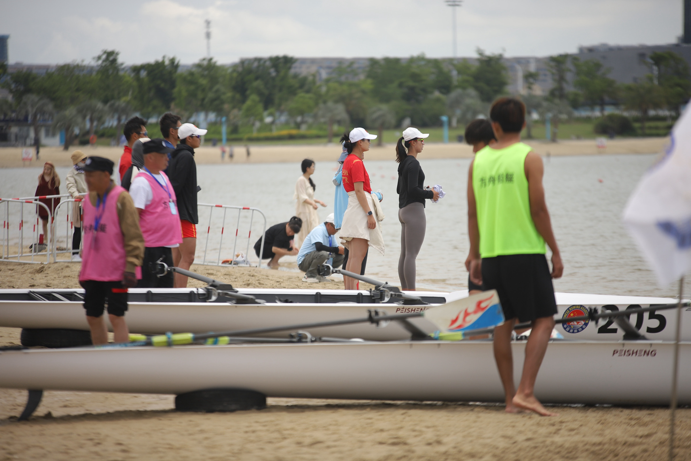 请登录查看高清图