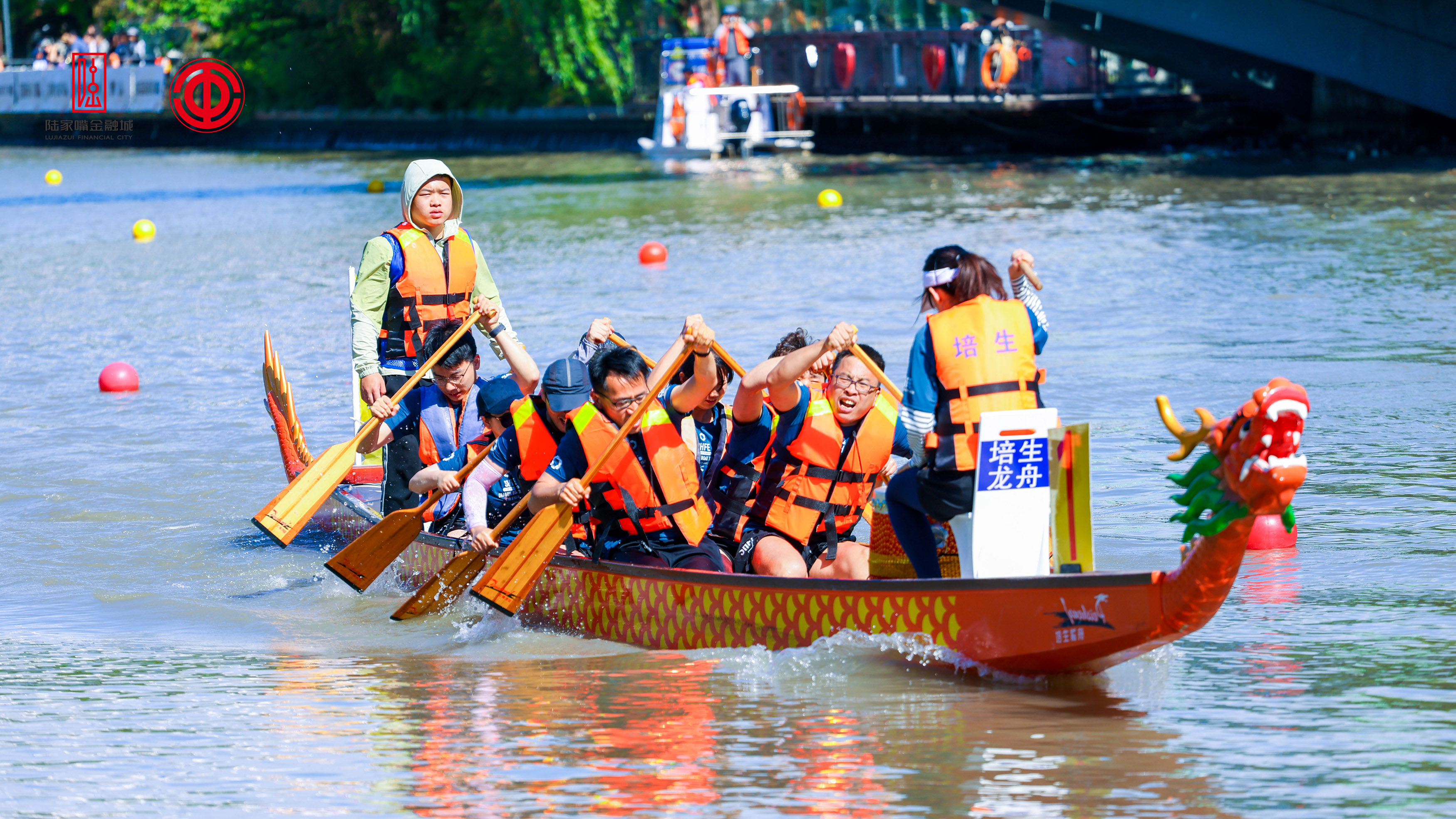 请登录查看高清图