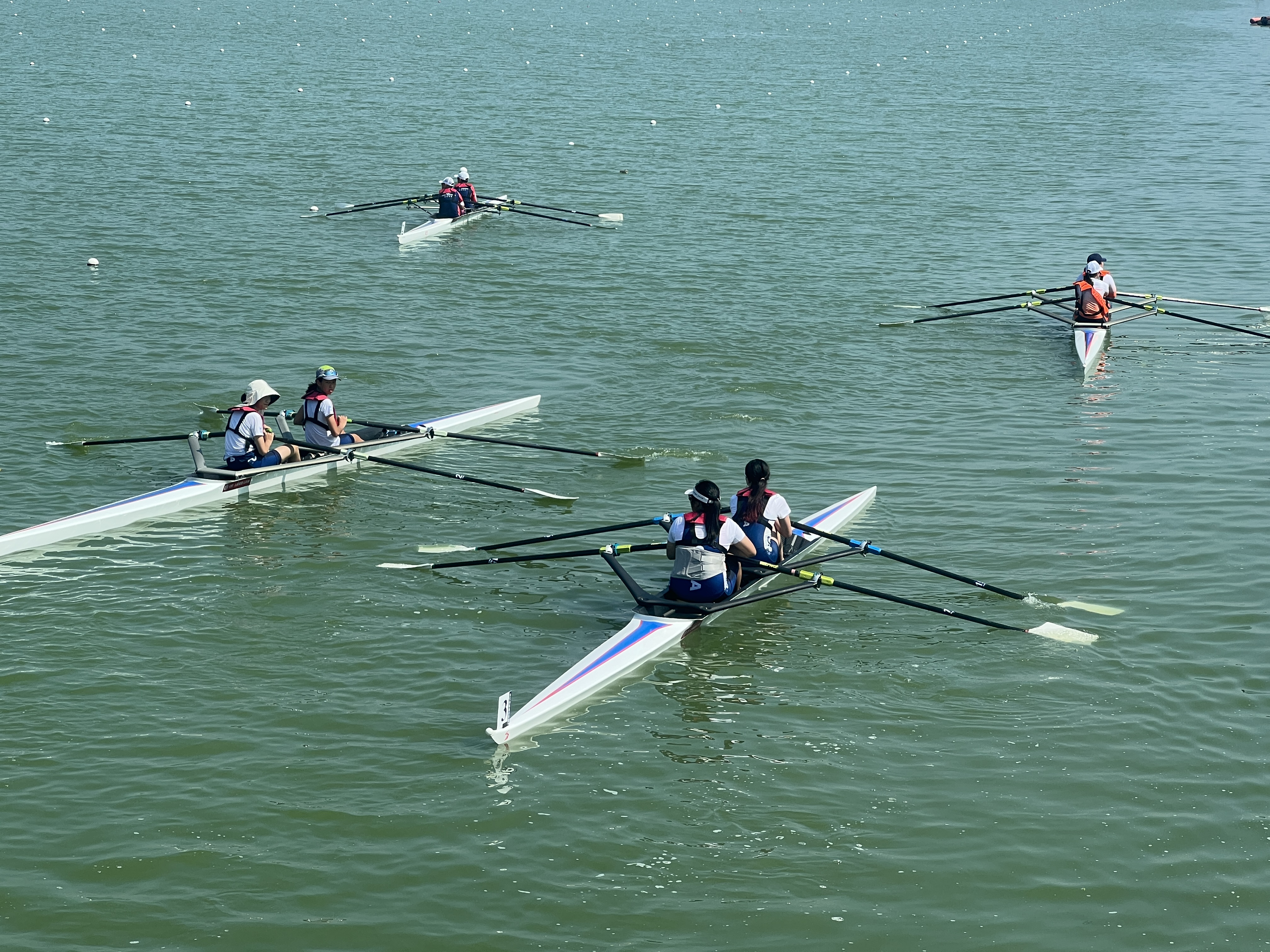 请登录查看高清图