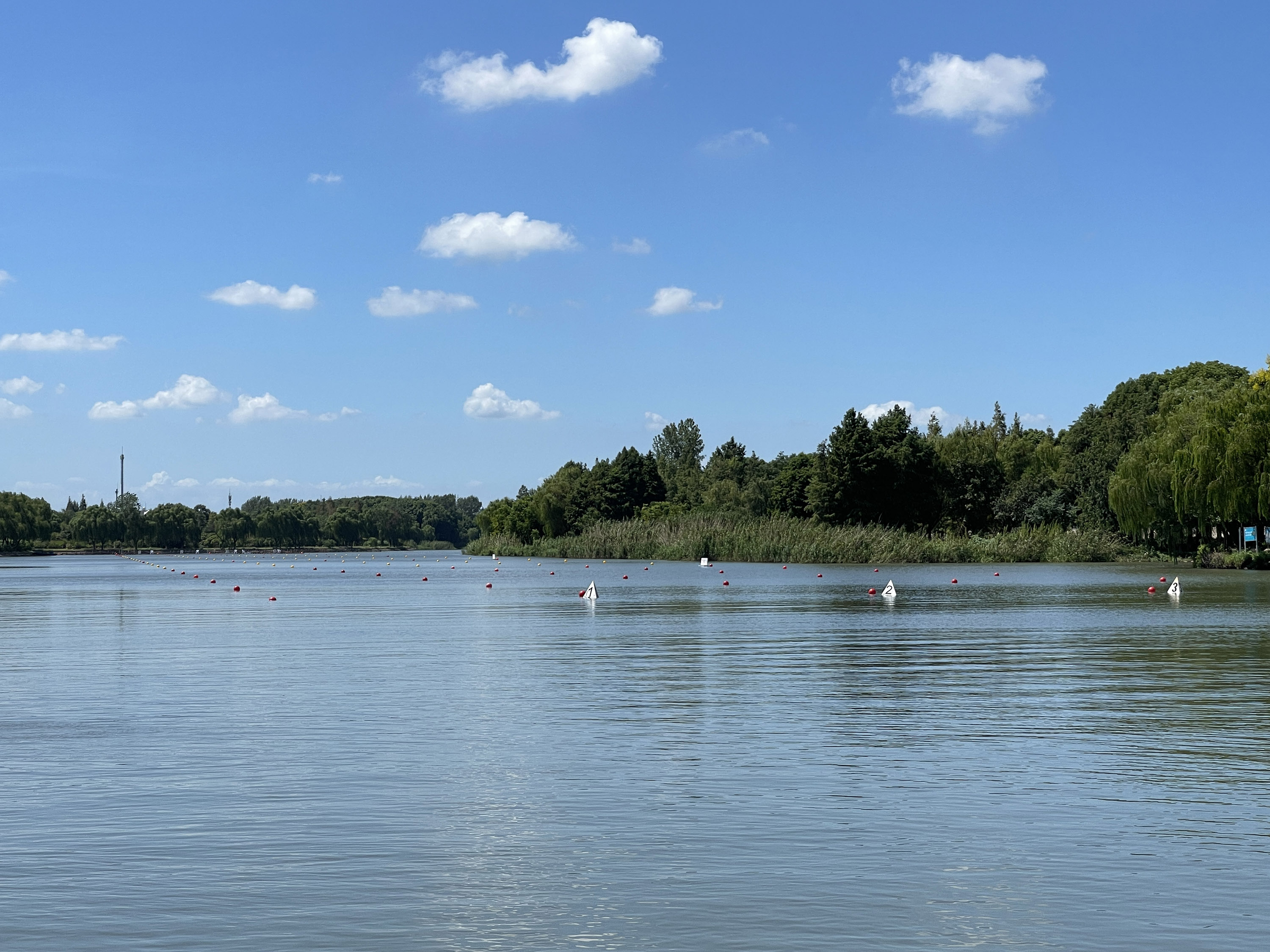 请登录查看高清图