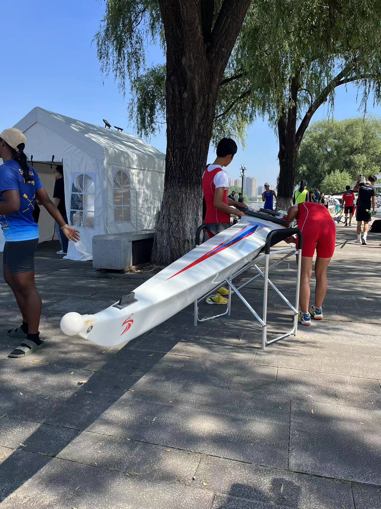 请登录查看高清图