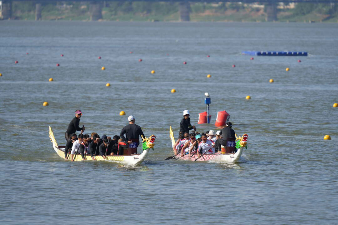 请登录查看高清图