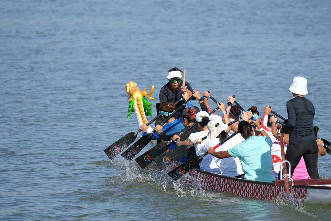 请登录查看高清图