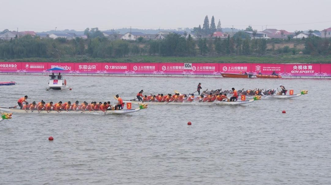 请登录查看高清图