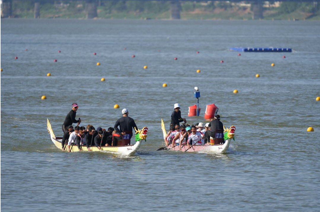 请登录查看高清图