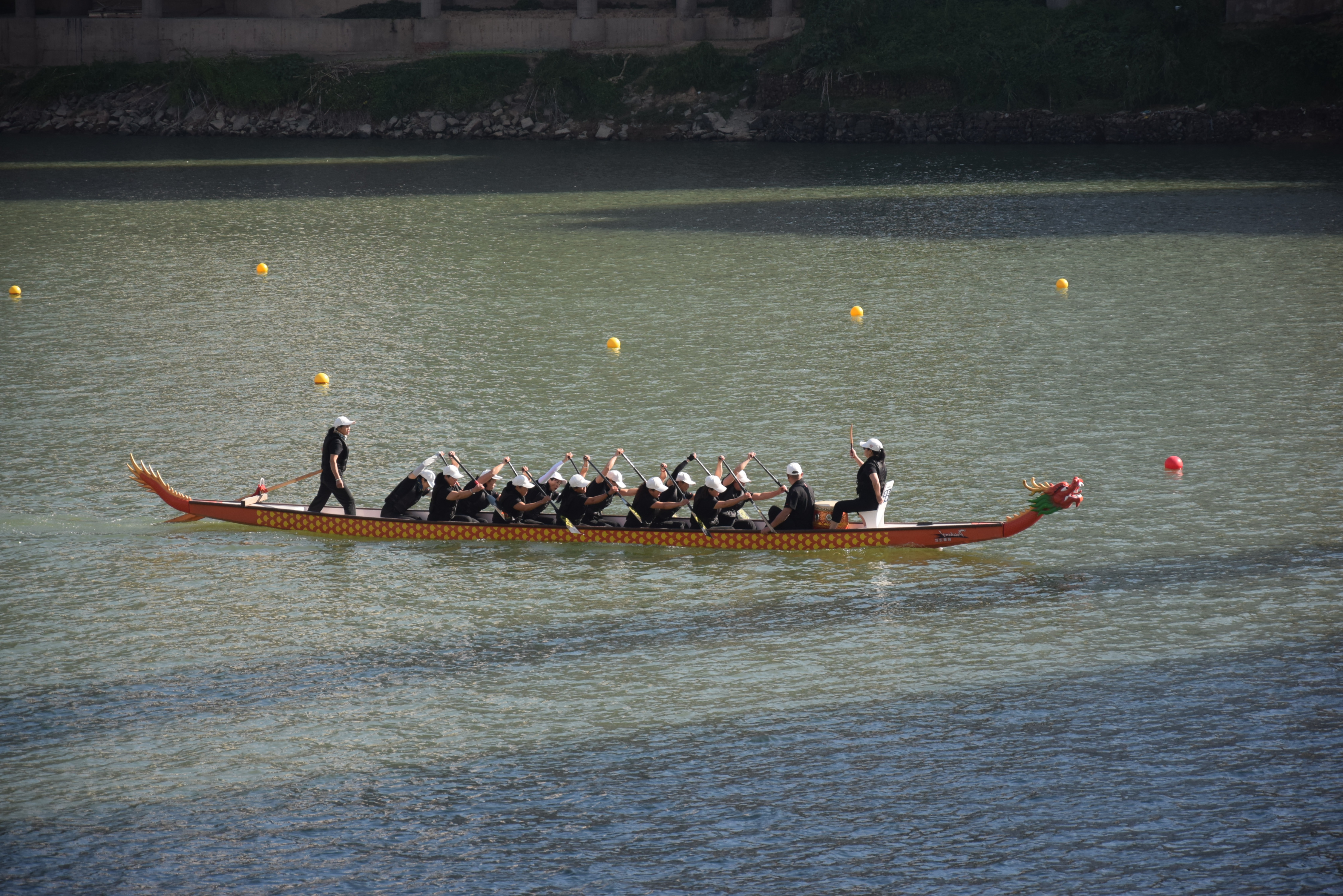 请登录查看高清图