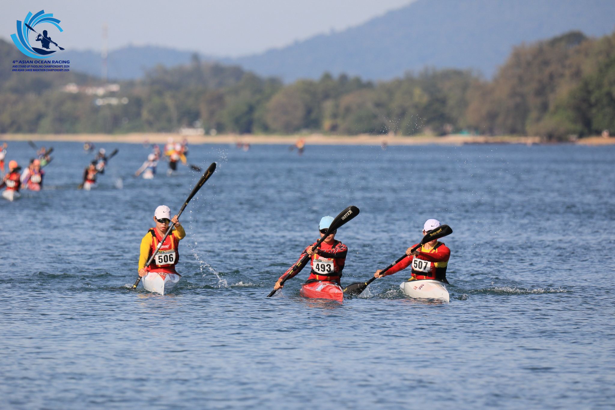 请登录查看高清图