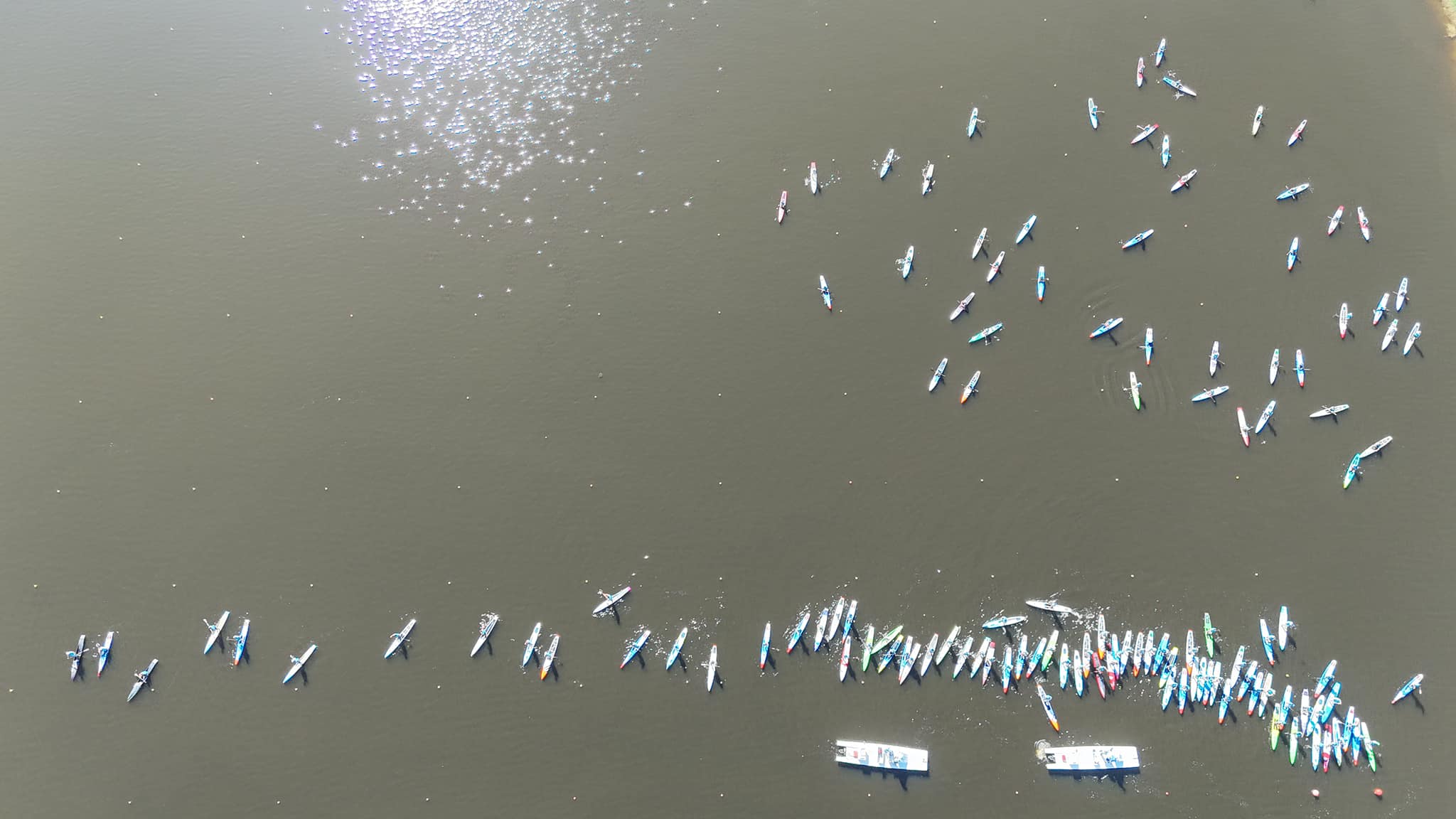 请登录查看高清图