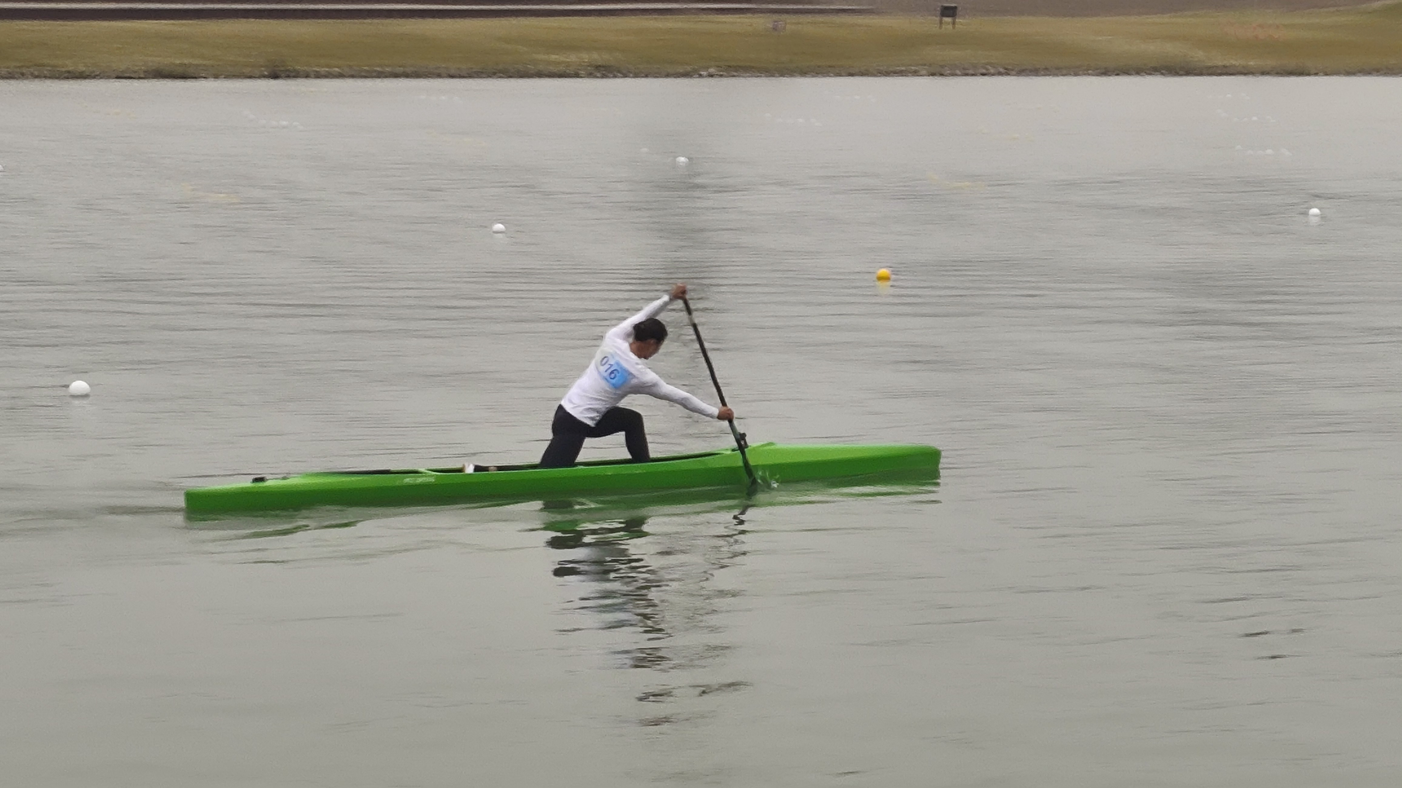 请登录查看高清图