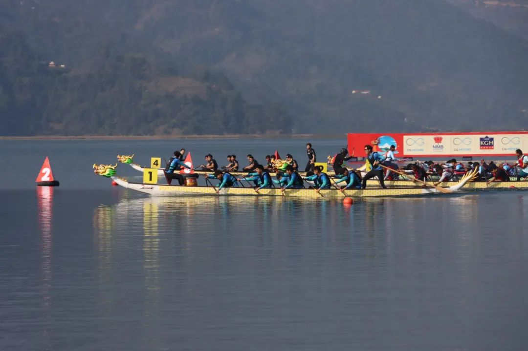 请登录查看高清图