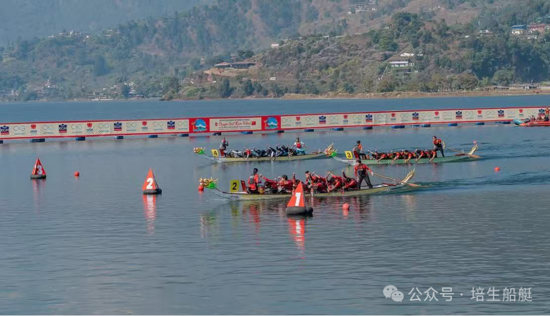 请登录查看高清图