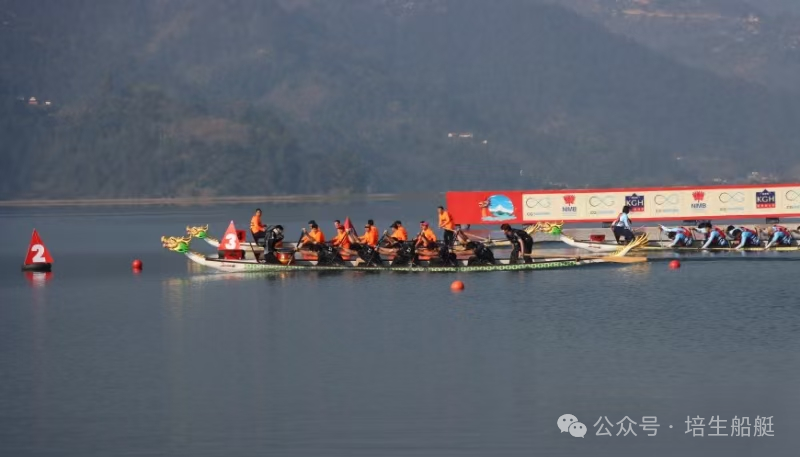 请登录查看高清图