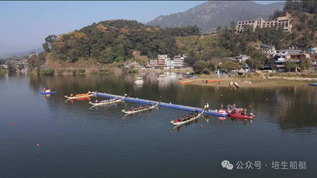 请登录查看高清图