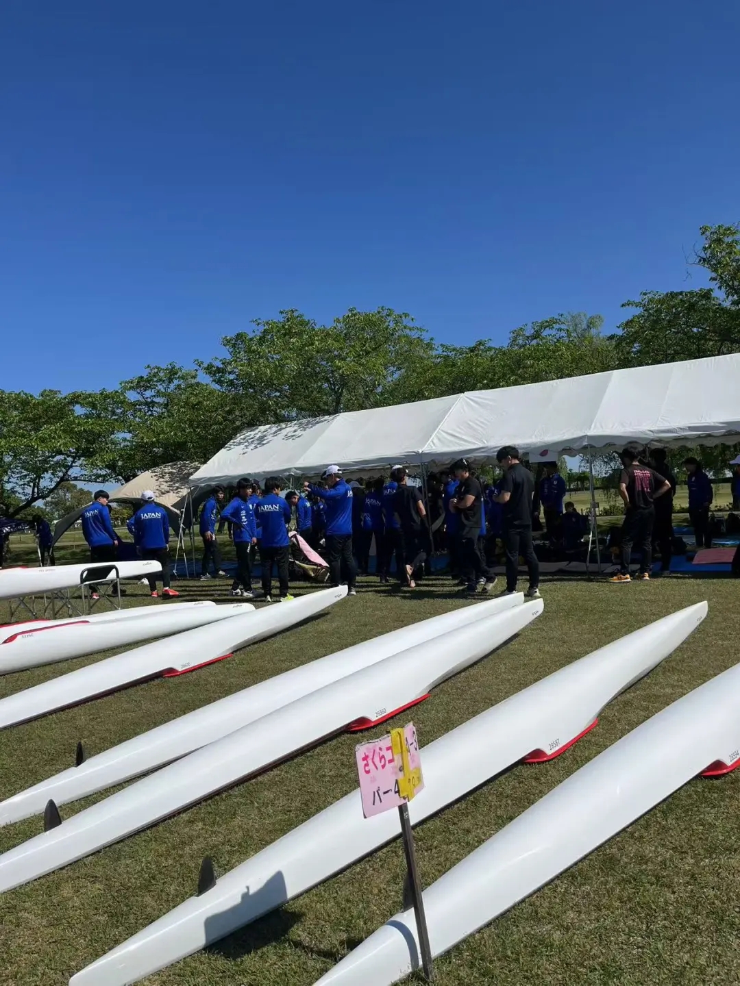 请登录查看高清图