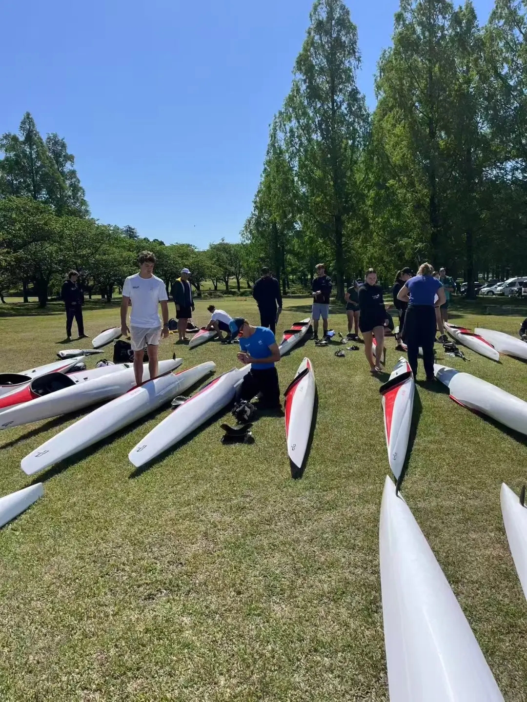 请登录查看高清图