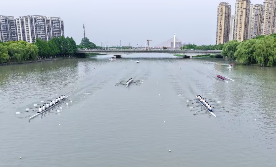 请登录查看高清图