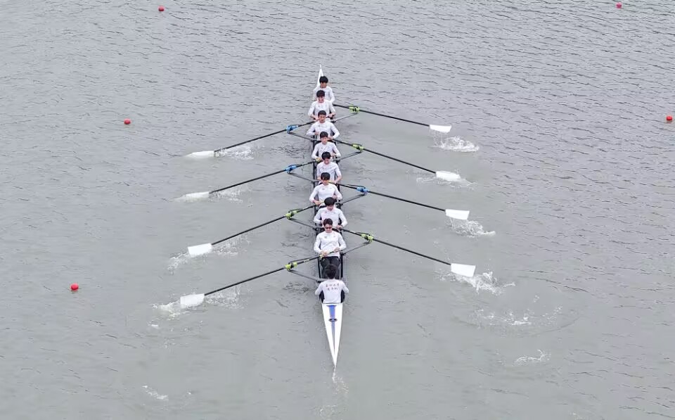 请登录查看高清图