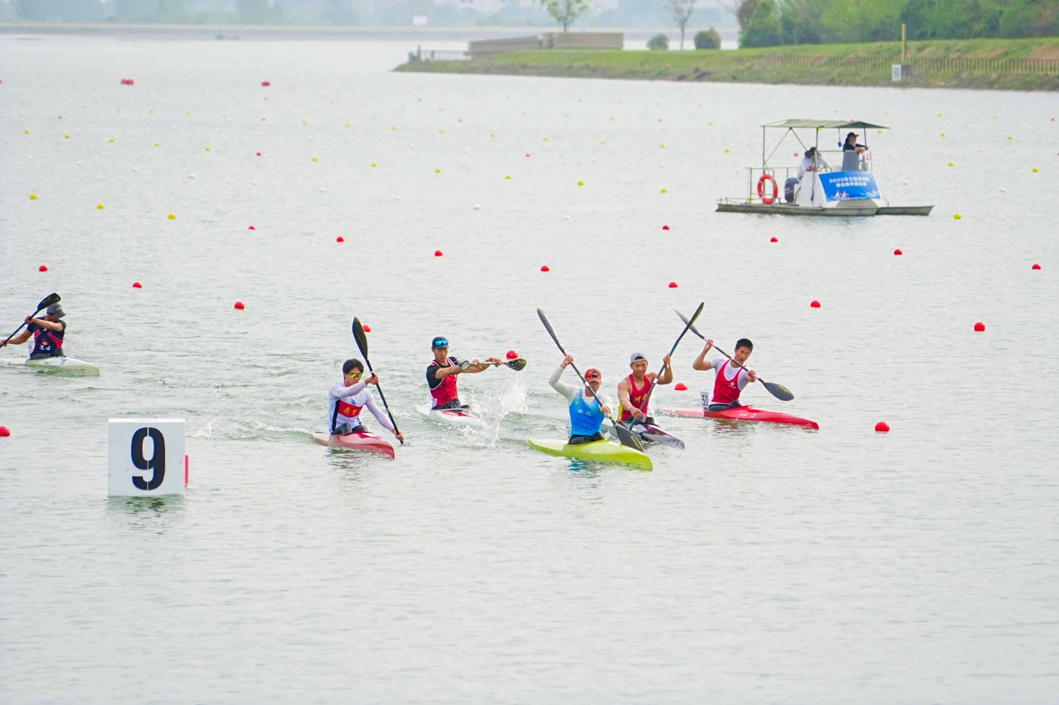 请登录查看高清图