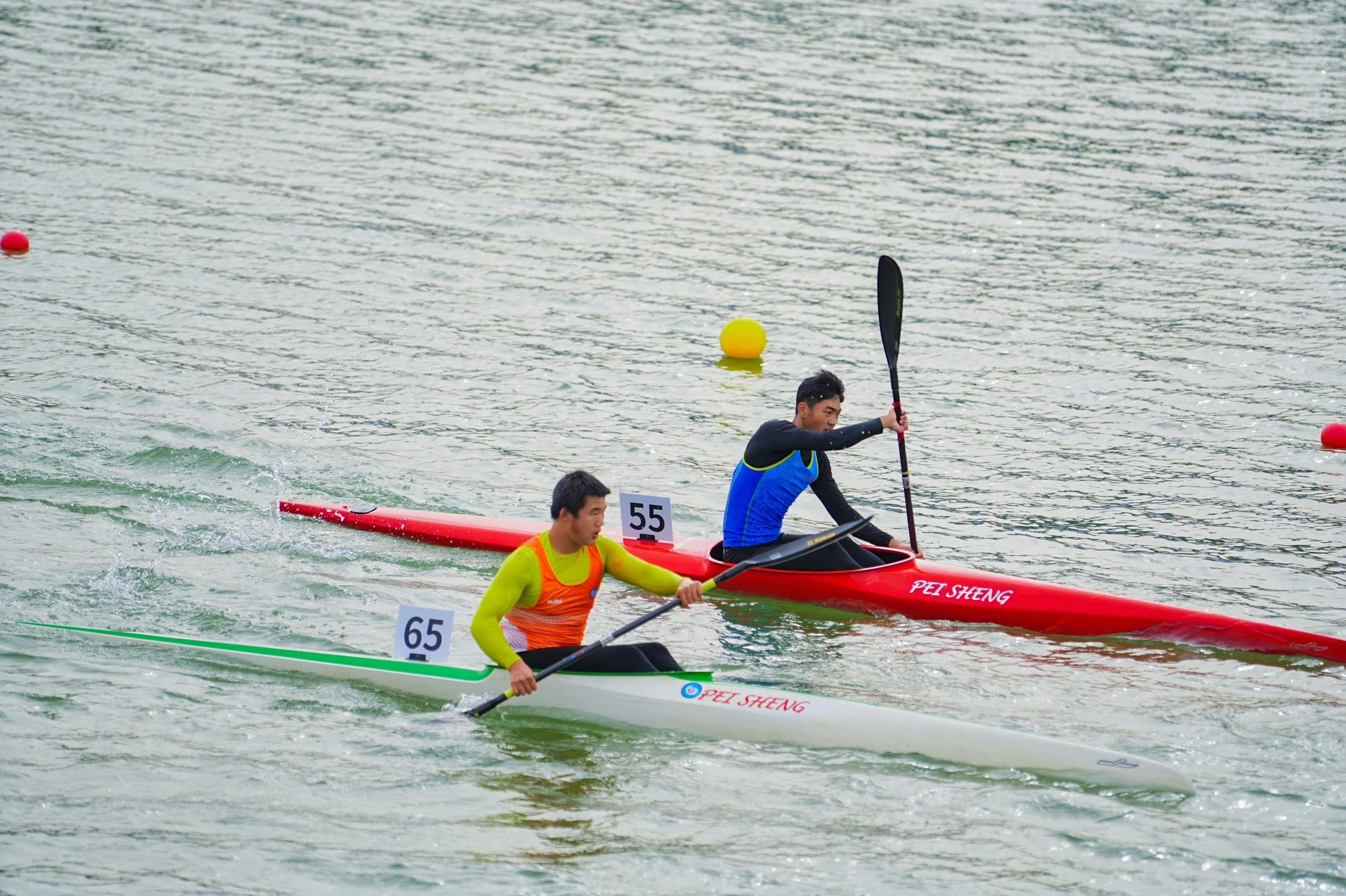 请登录查看高清图