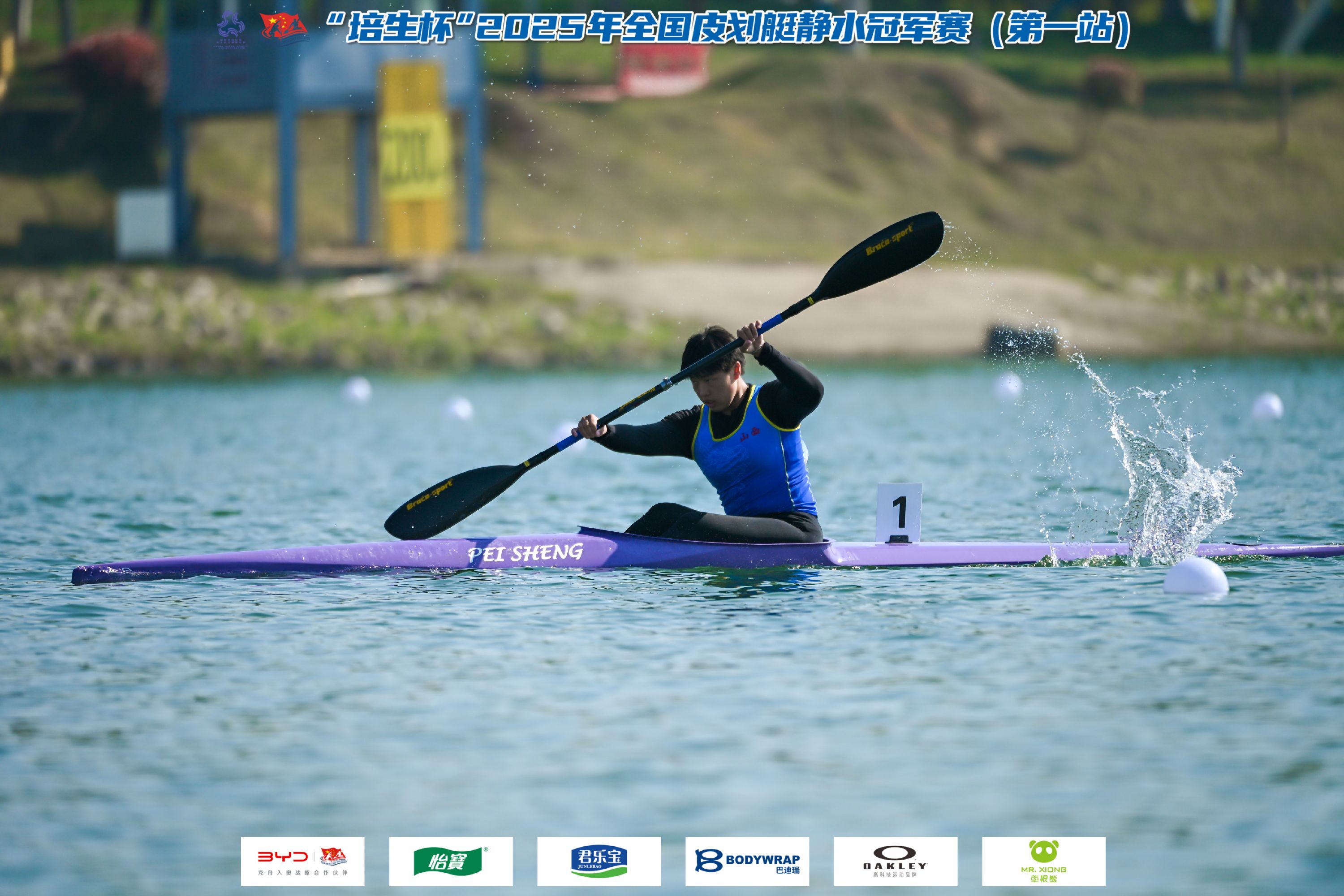 请登录查看高清图