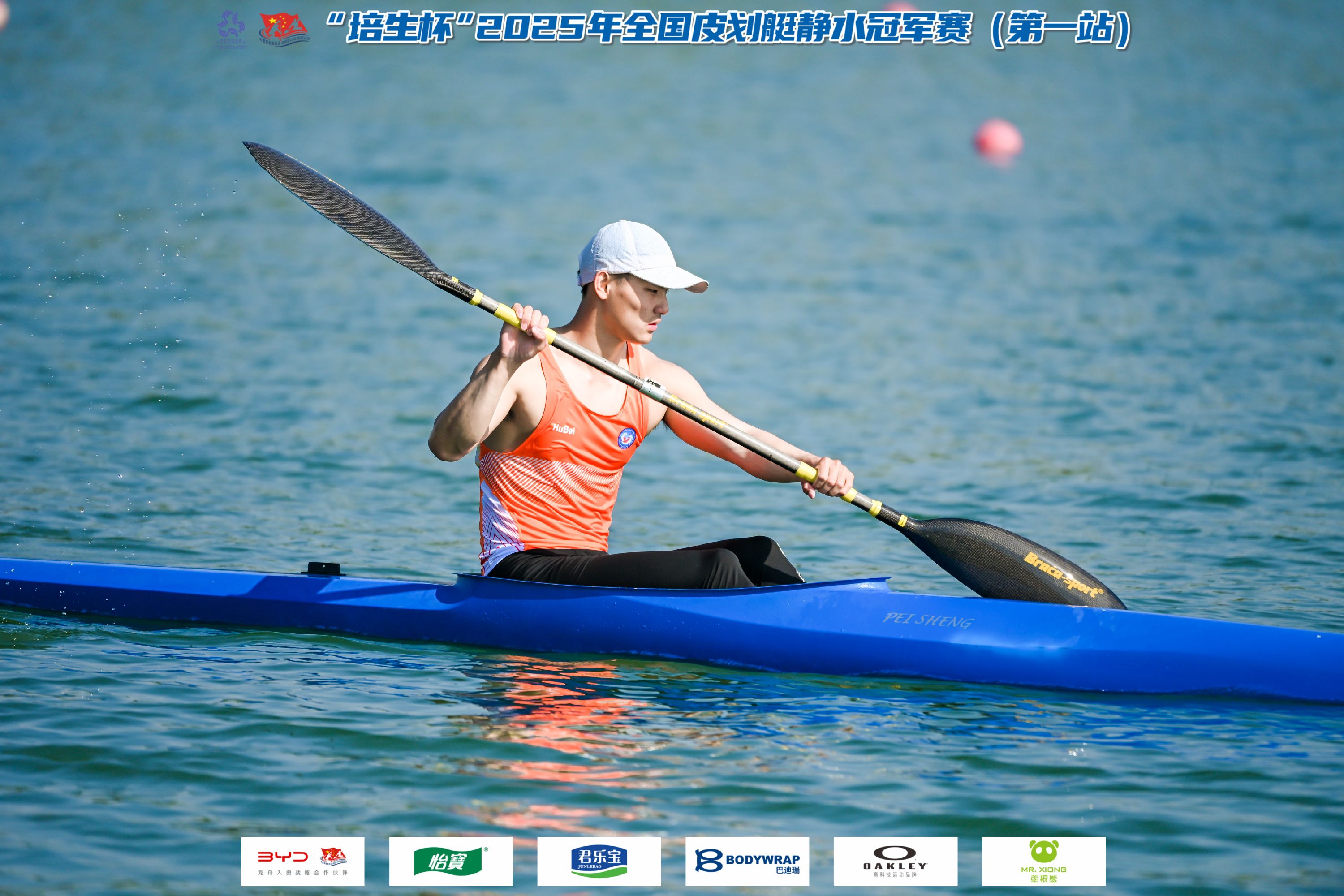 请登录查看高清图