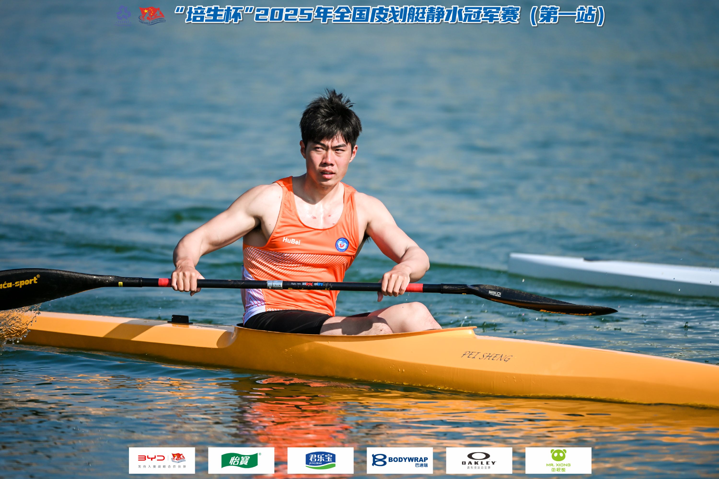 请登录查看高清图