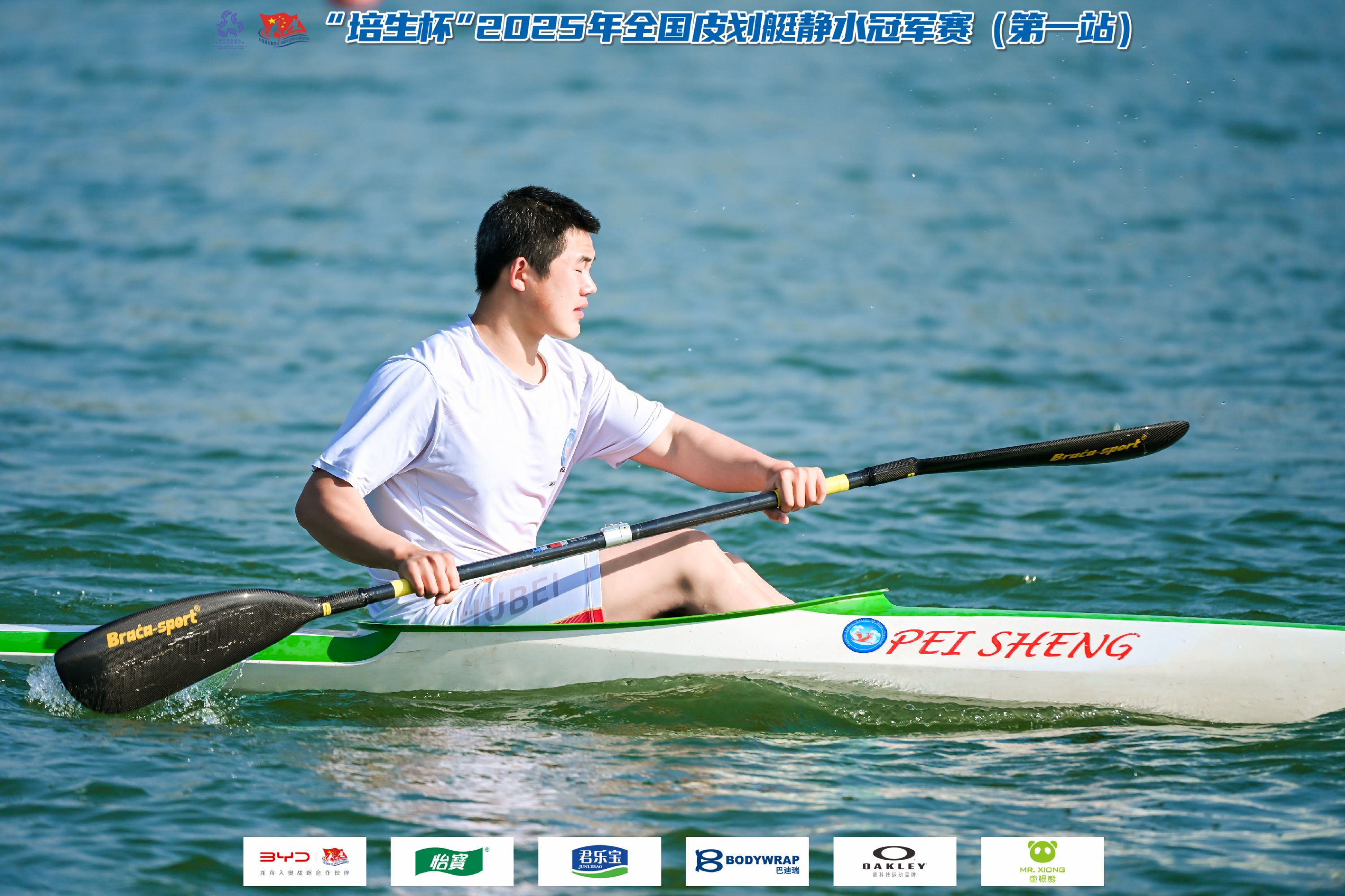 请登录查看高清图