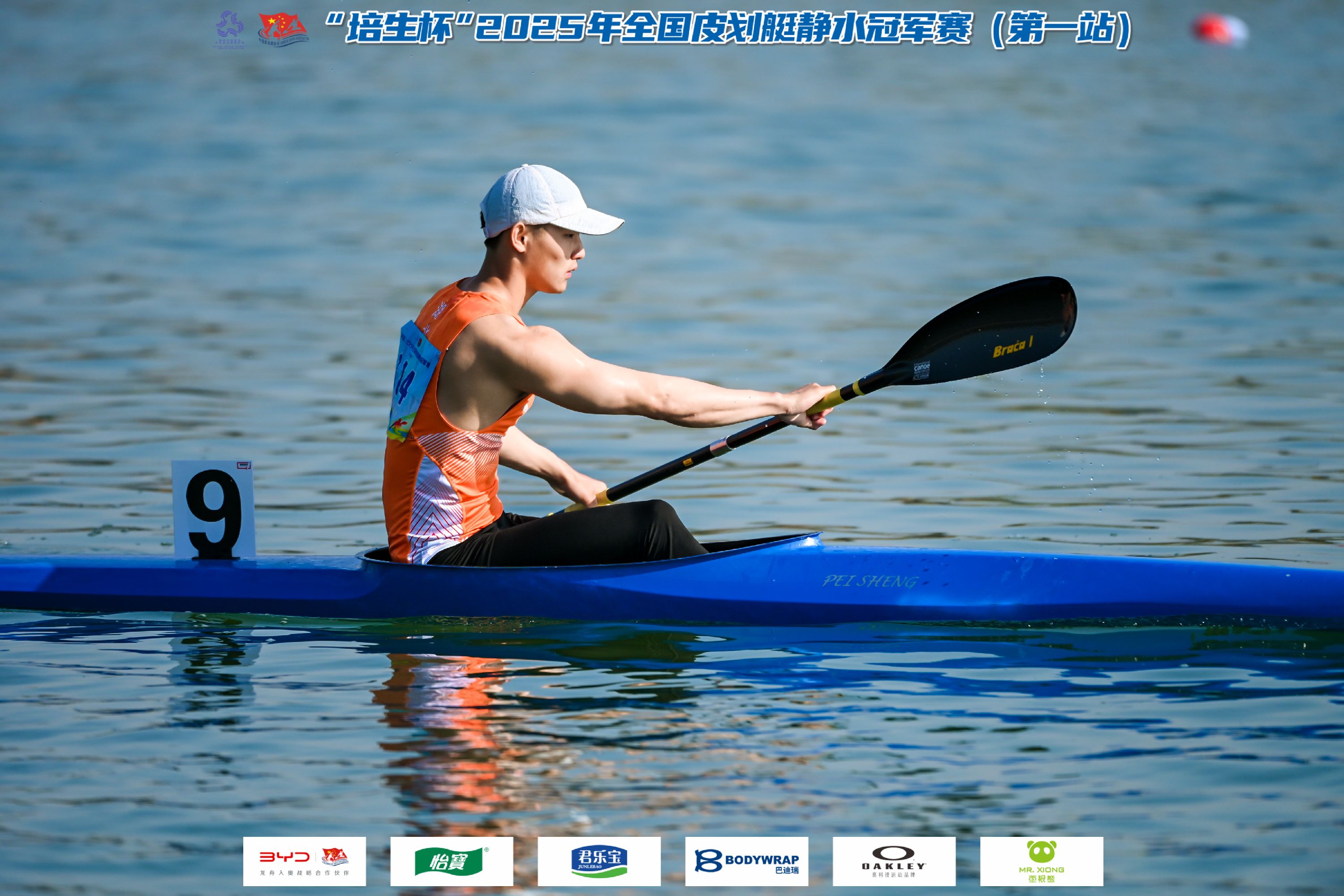 请登录查看高清图