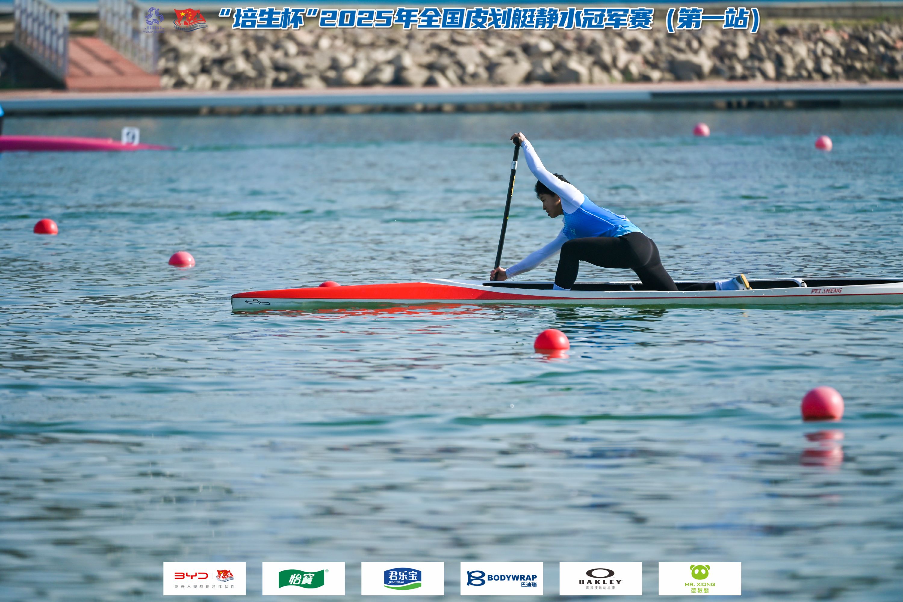 请登录查看高清图