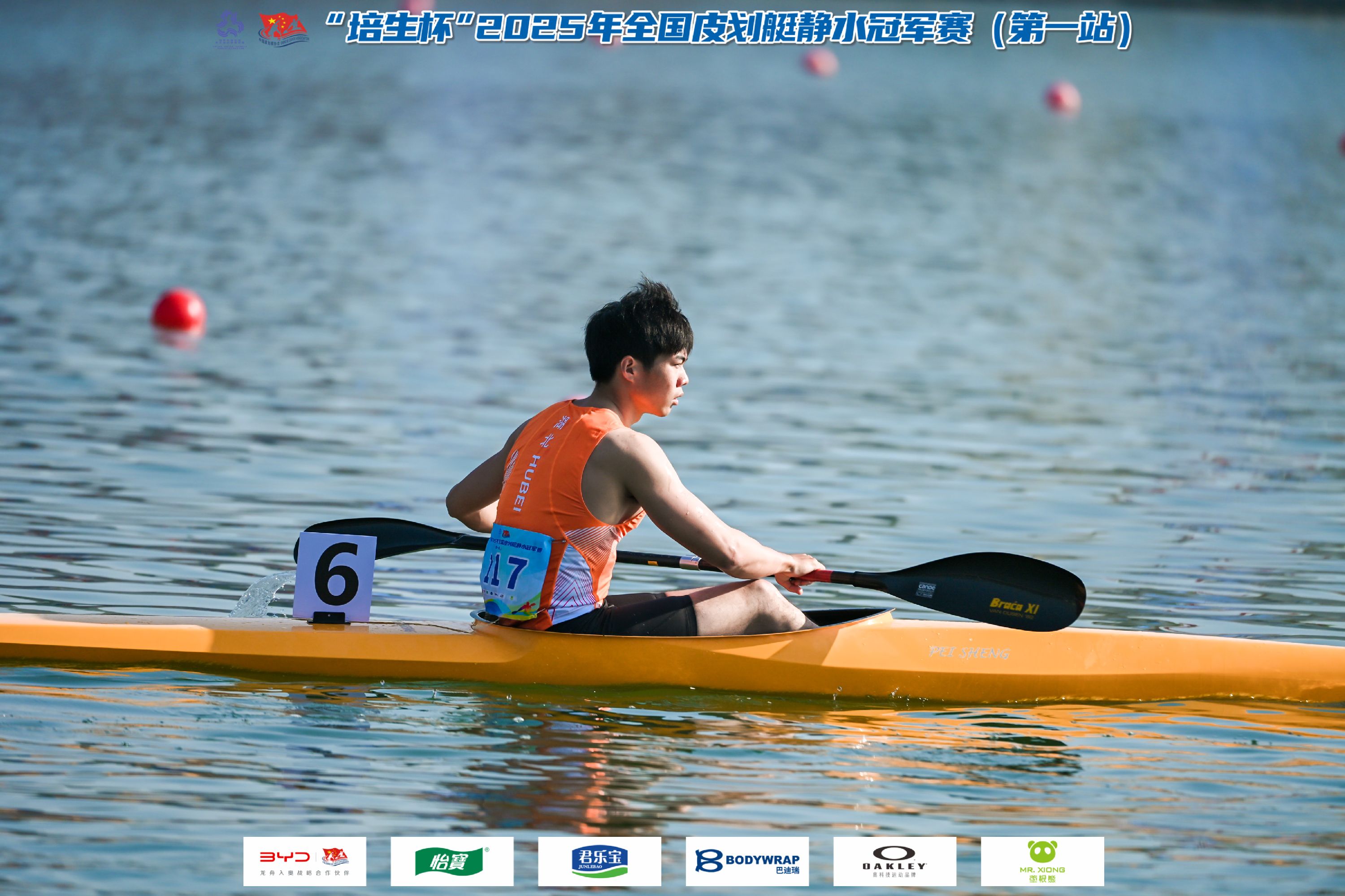 请登录查看高清图