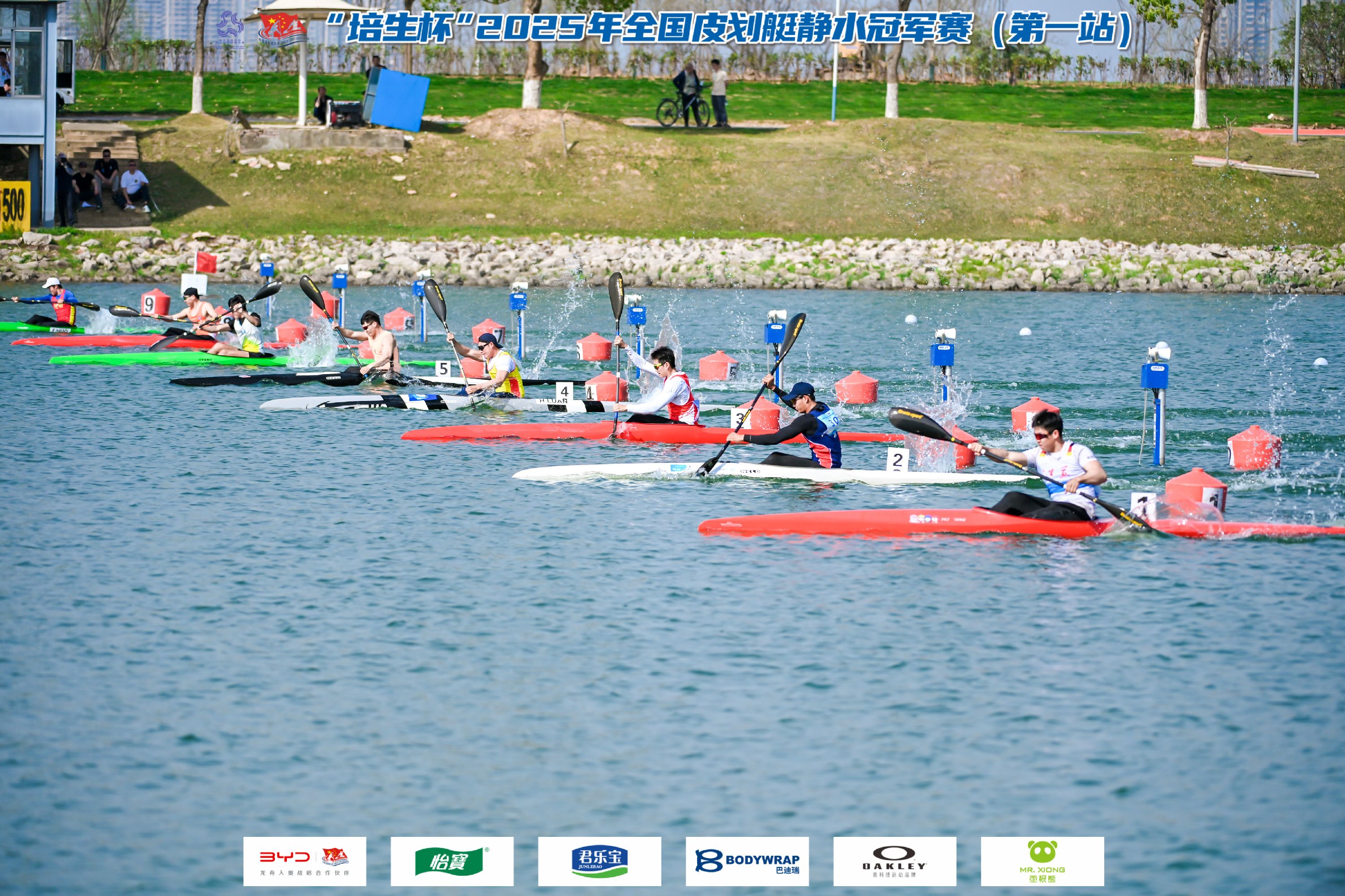 请登录查看高清图